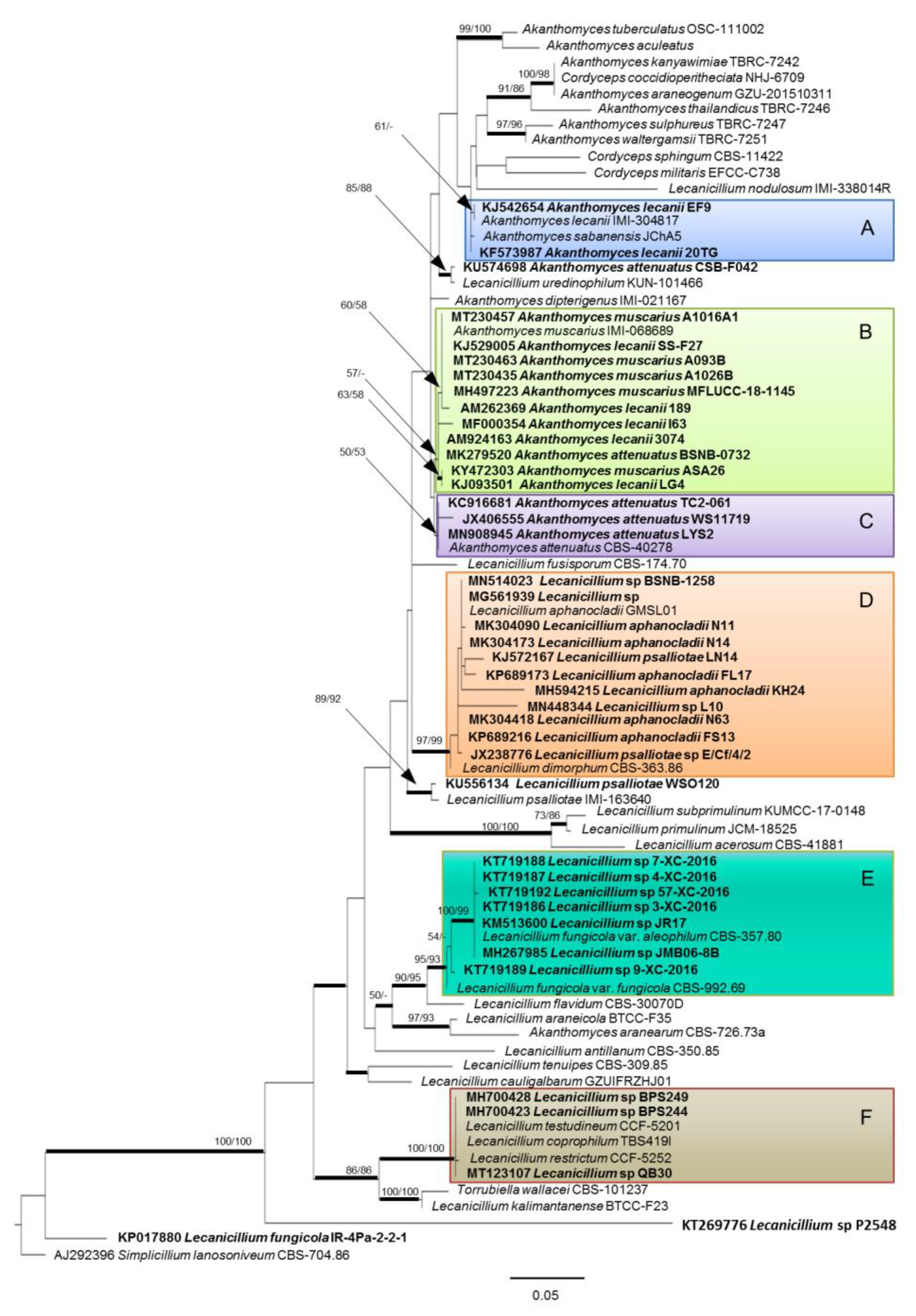 Agriculture 10 00205 g001