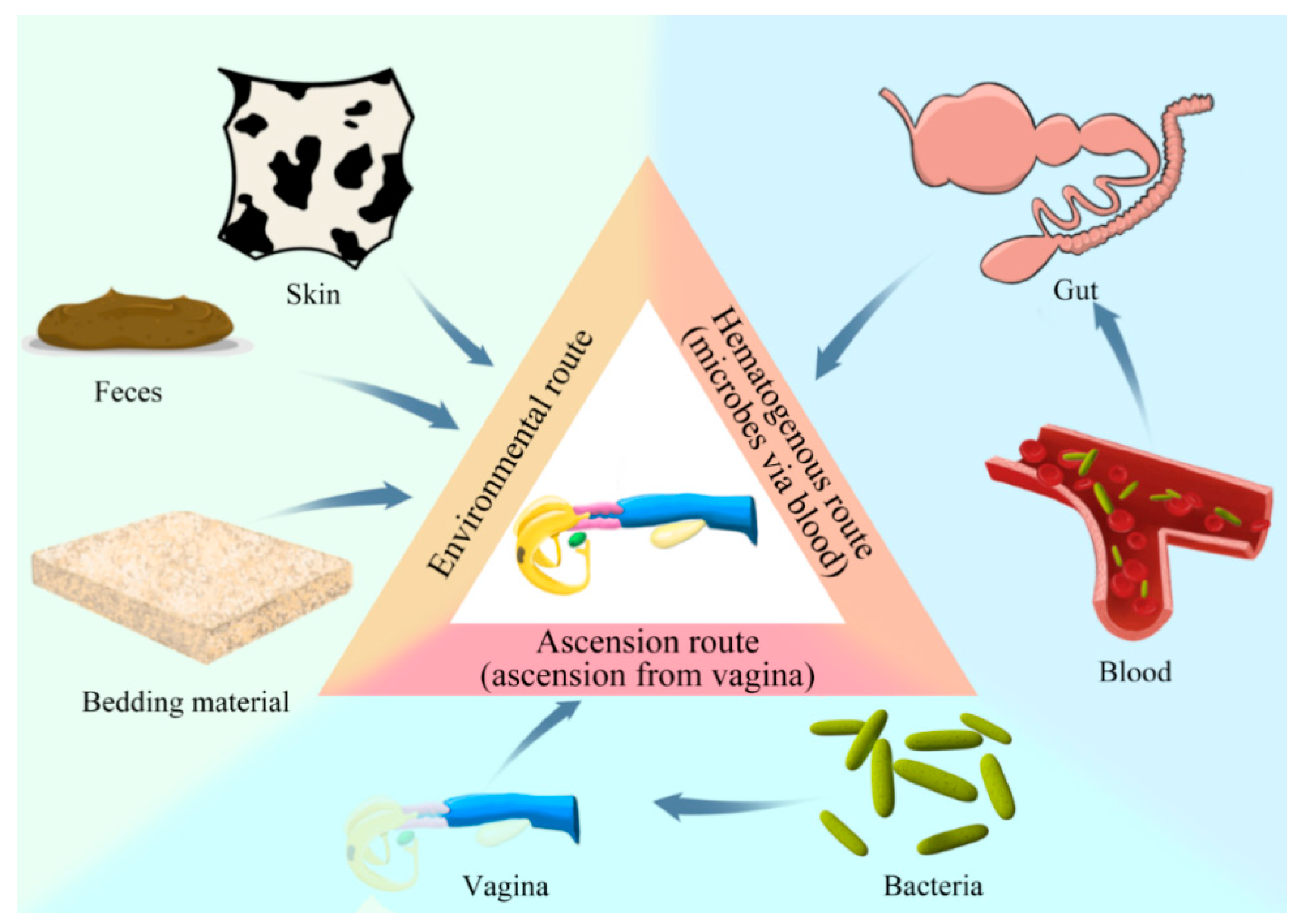 Agriculture 10 00232 g001