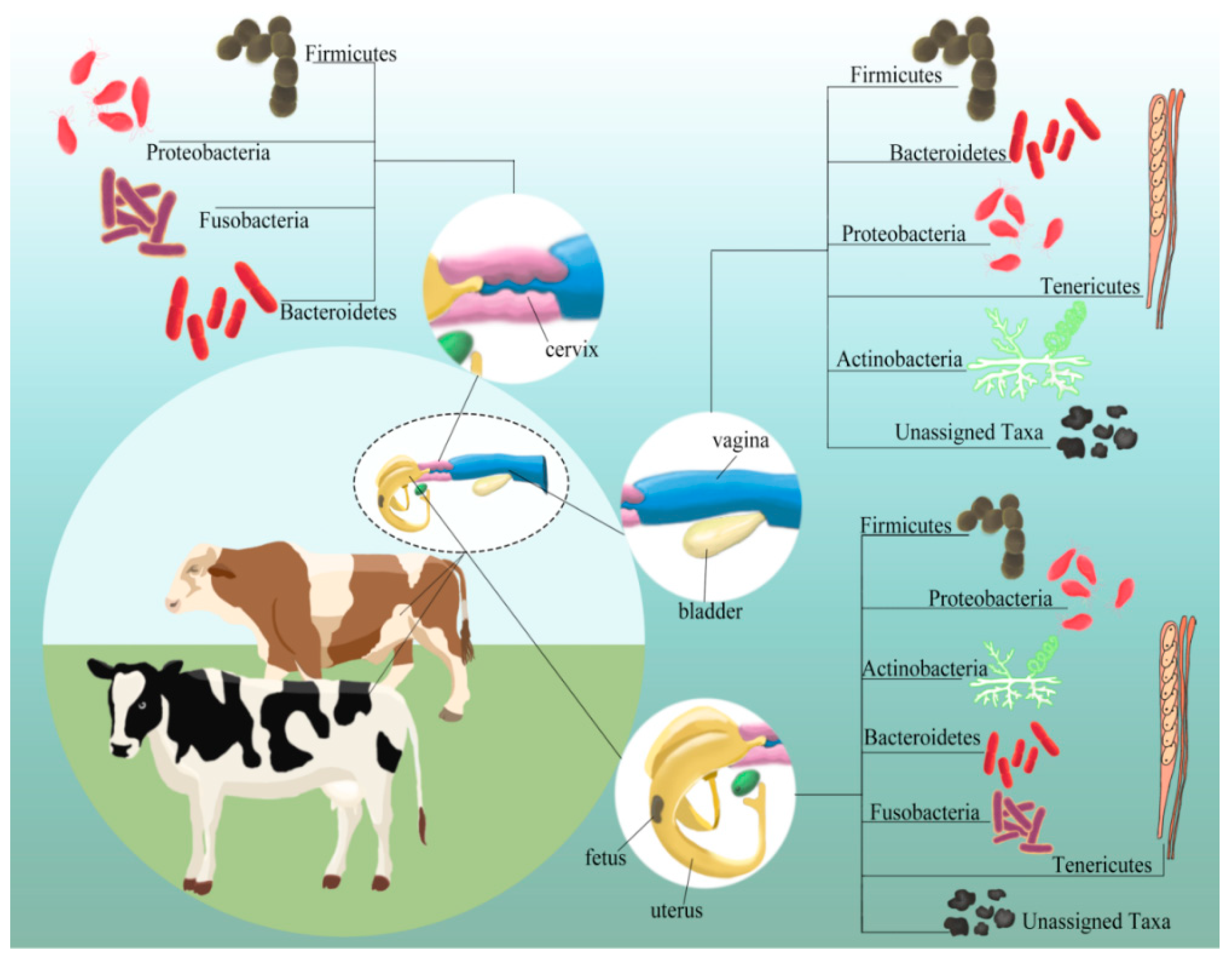 Agriculture 10 00232 g002