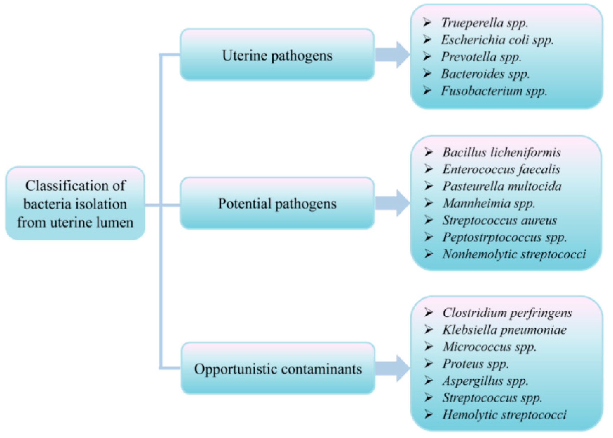 Agriculture 10 00232 g003