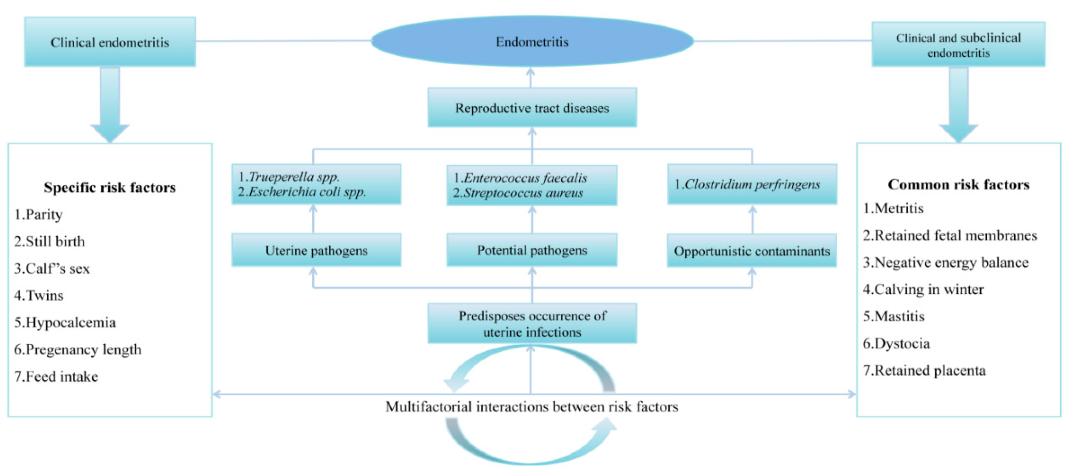 Agriculture 10 00232 g004