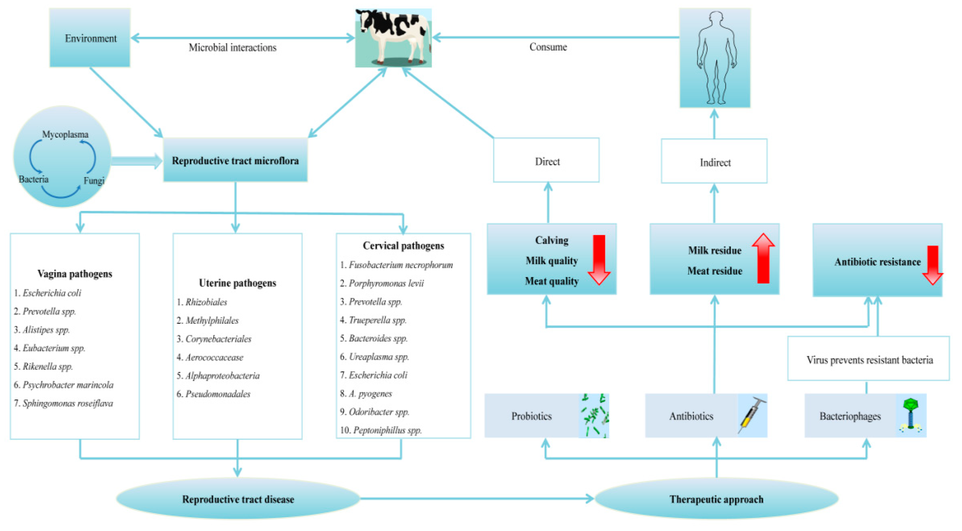 Agriculture 10 00232 g005