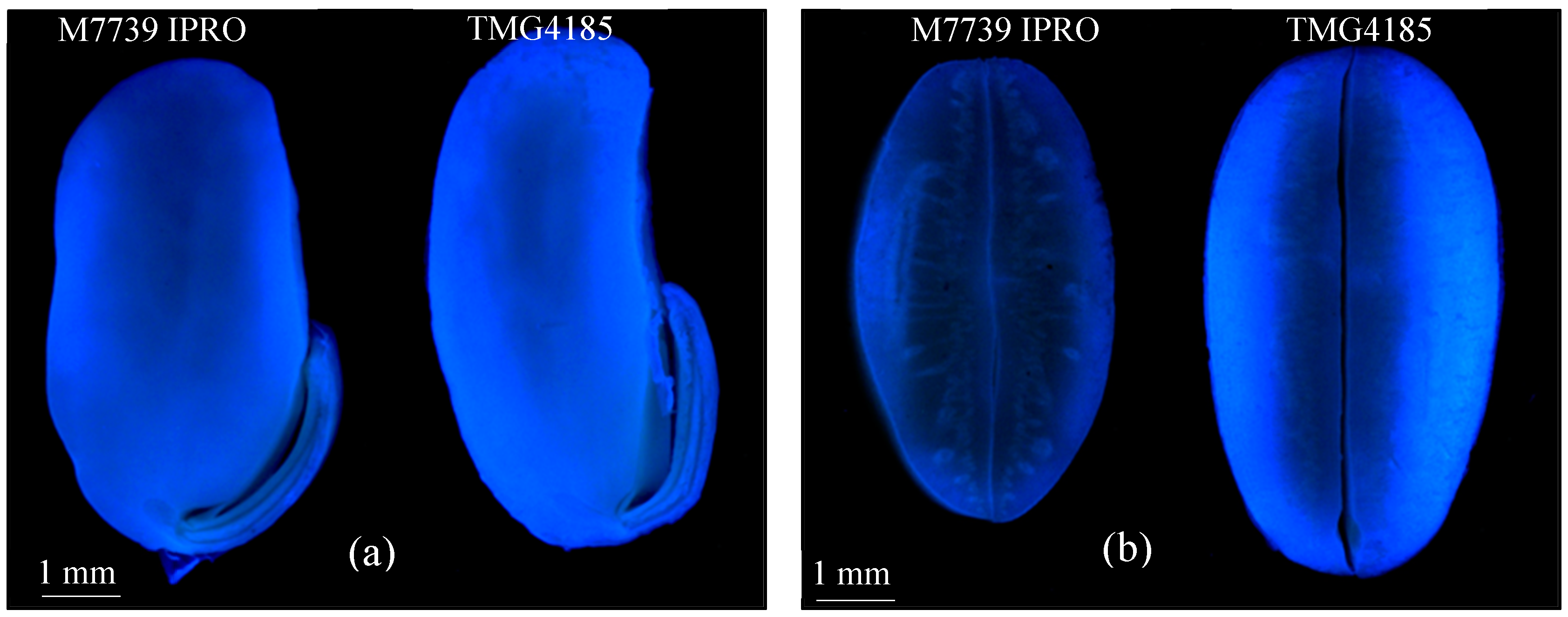 Agriculture 10 00248 g001