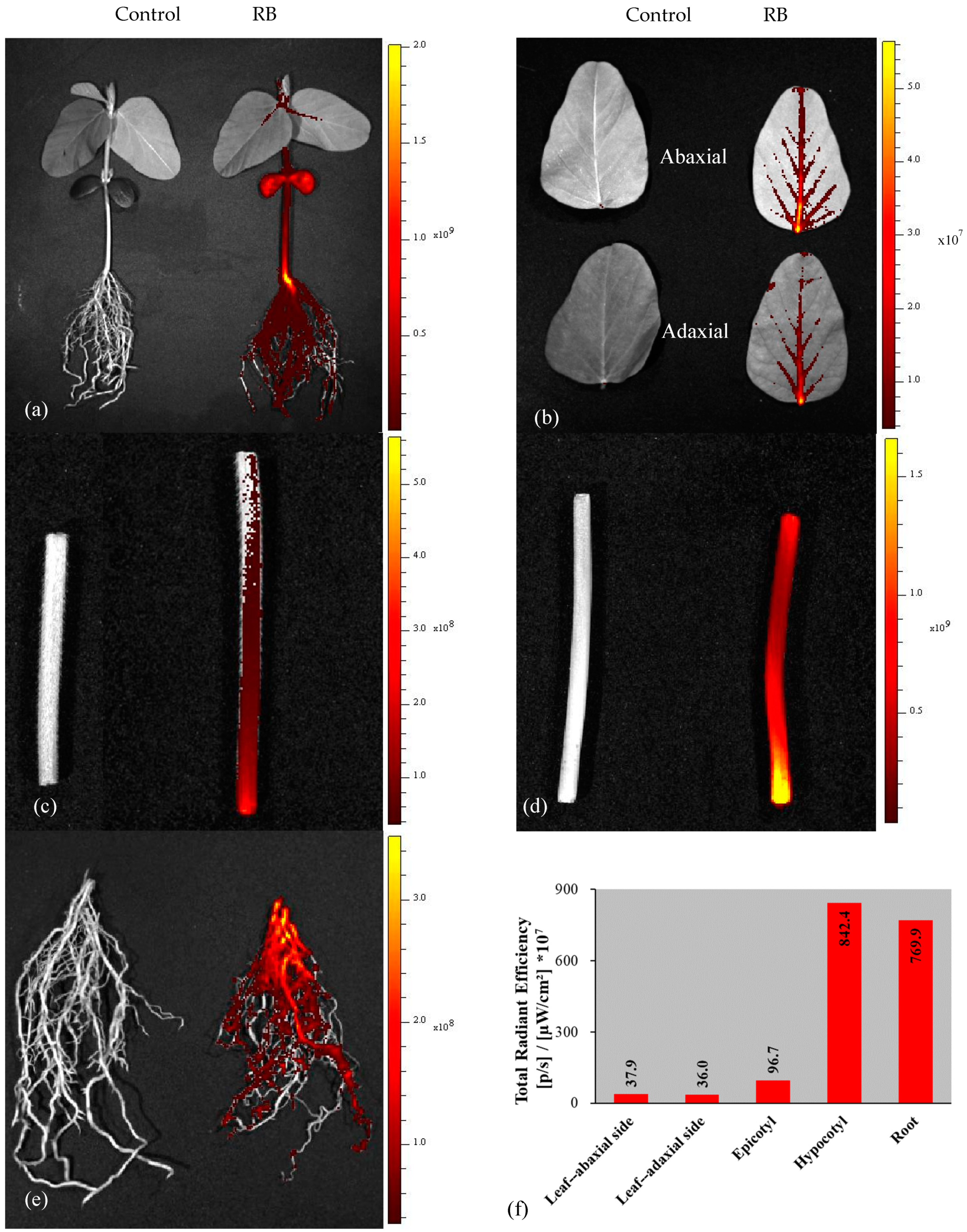 Agriculture 10 00248 g004