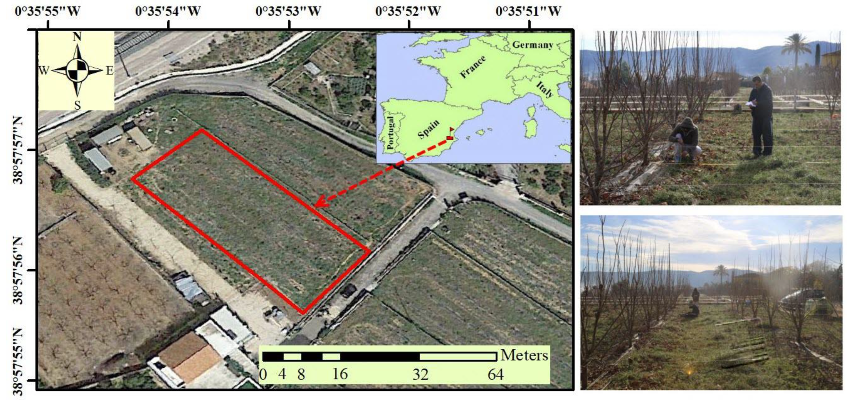 Agriculture 10 00266 g001