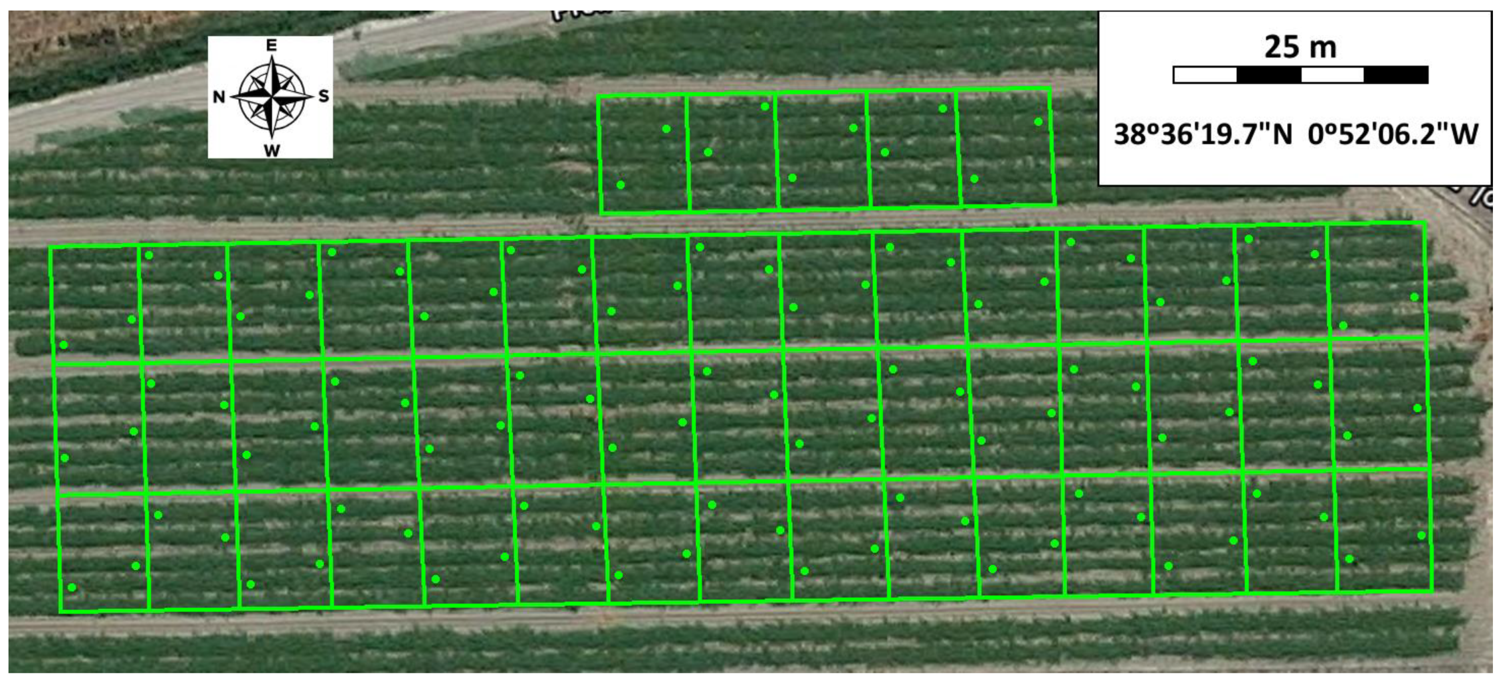 Agriculture 10 00276 g001 Agriculture 10 00276 g001