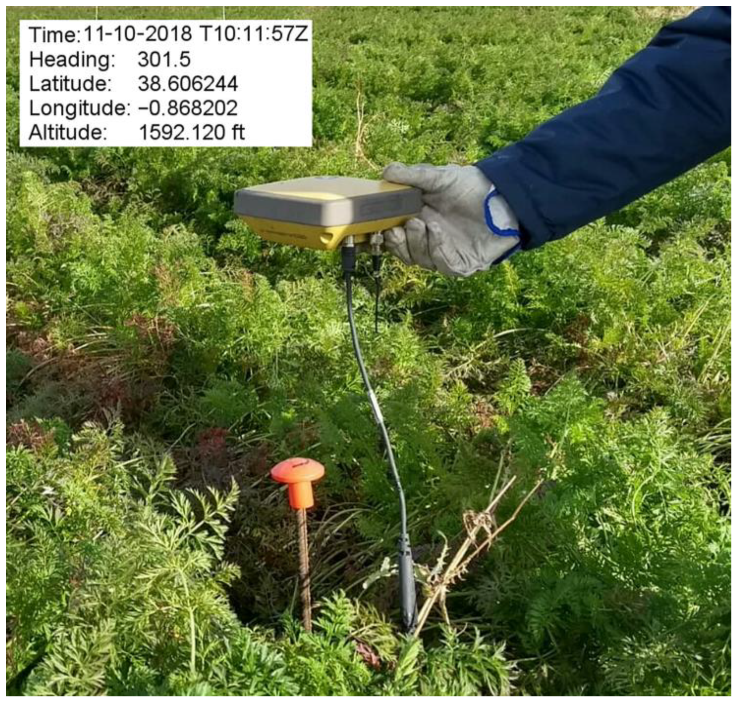 Agriculture 10 00276 g002 Agriculture 10 00276 g002