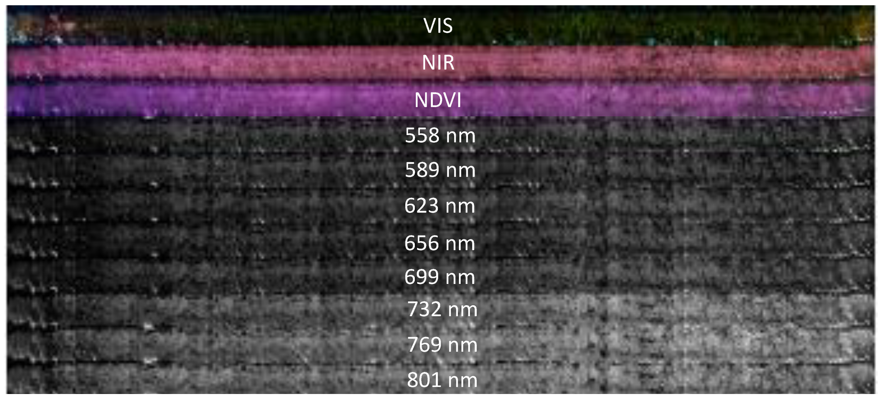 Agriculture 10 00276 g004 Agriculture 10 00276 g004