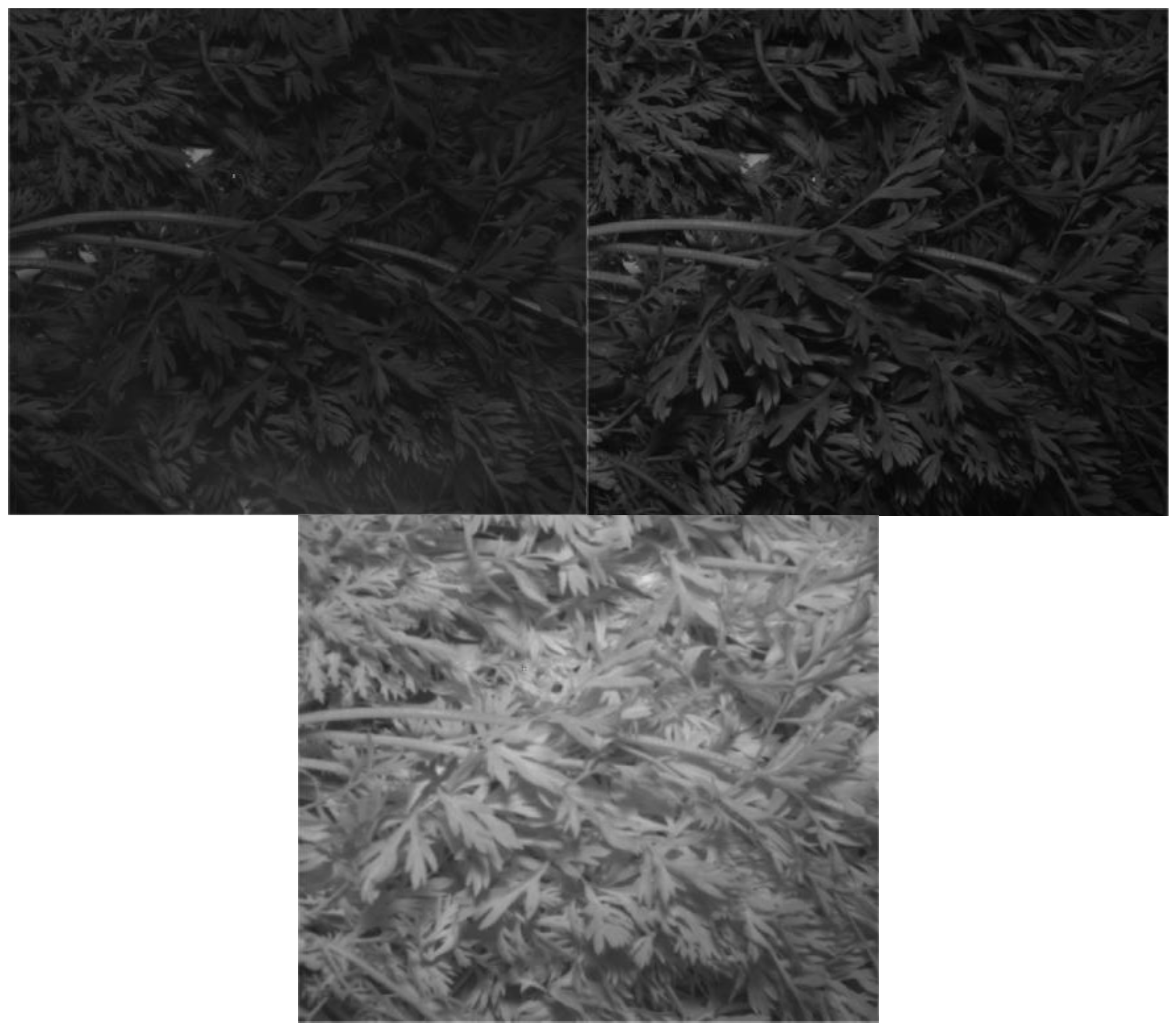 Agriculture 10 00276 g006 Agriculture 10 00276 g006