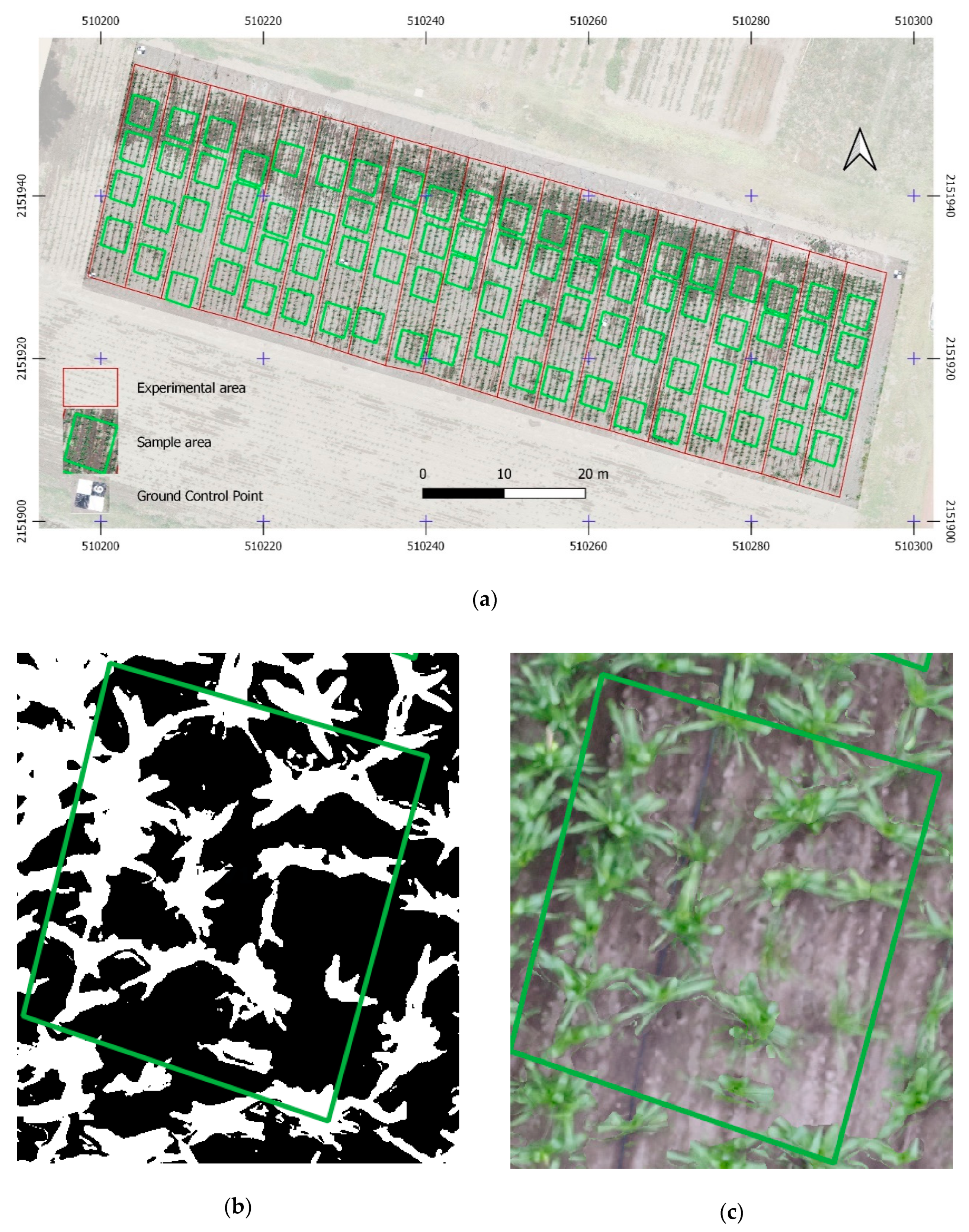 Agriculture 10 00277 g001