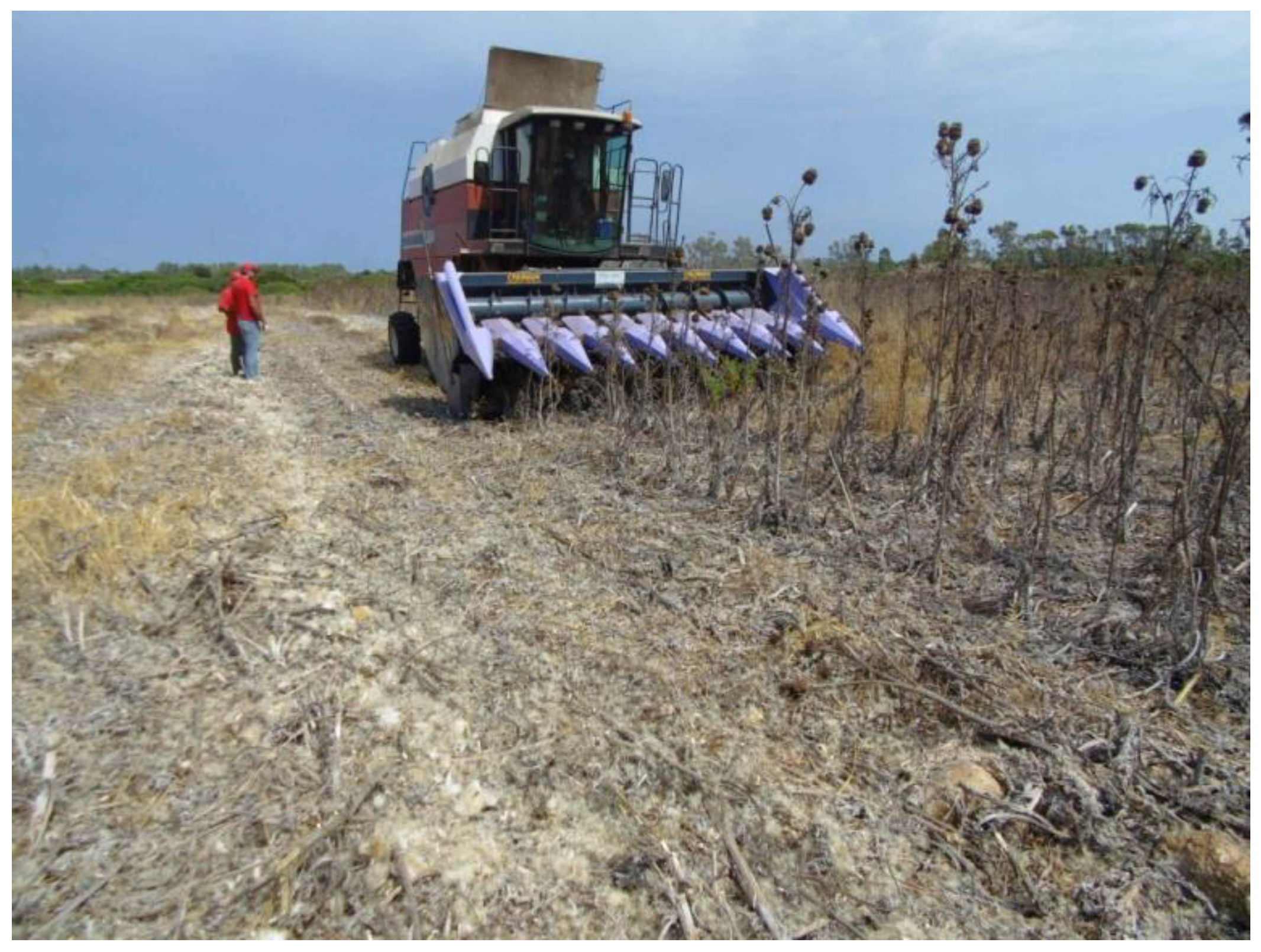 Agriculture 10 00309 g003