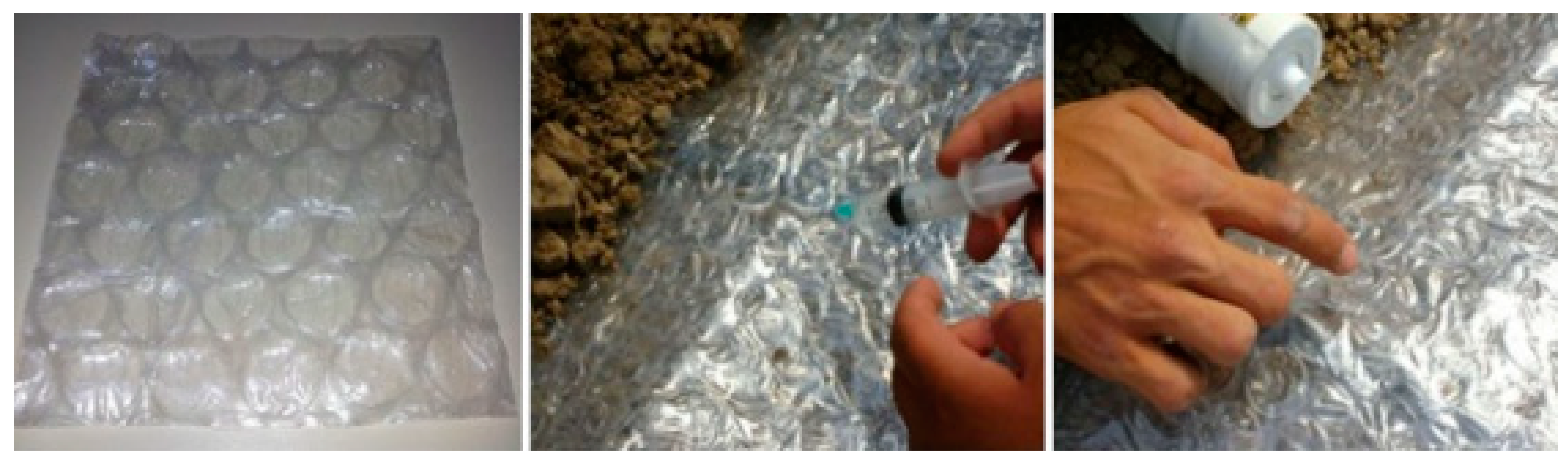 Agriculture 10 00310 g002