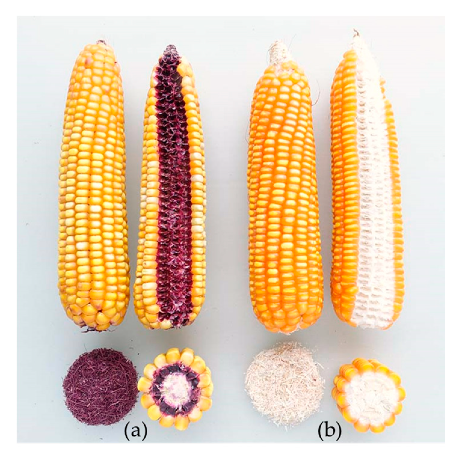 Agriculture 10 00311 g002