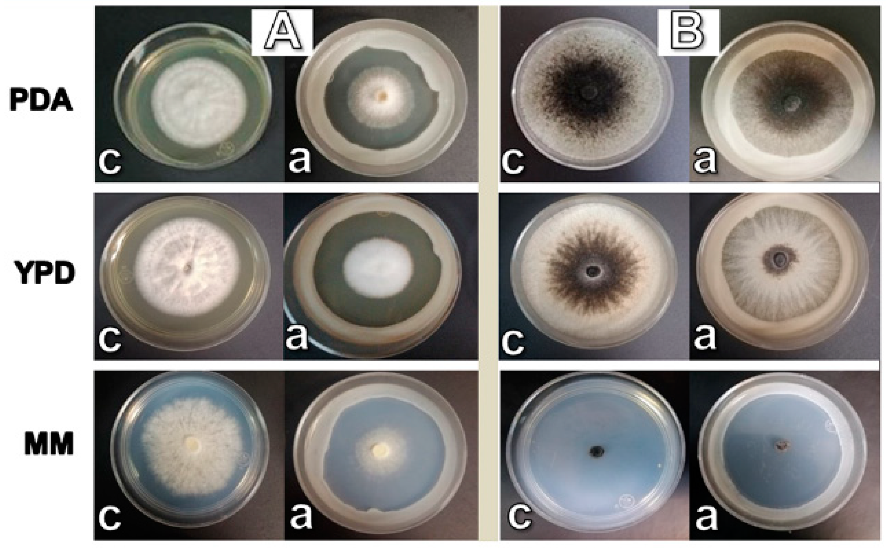 Agriculture 10 00325 g001 Agriculture 10 00325 g001