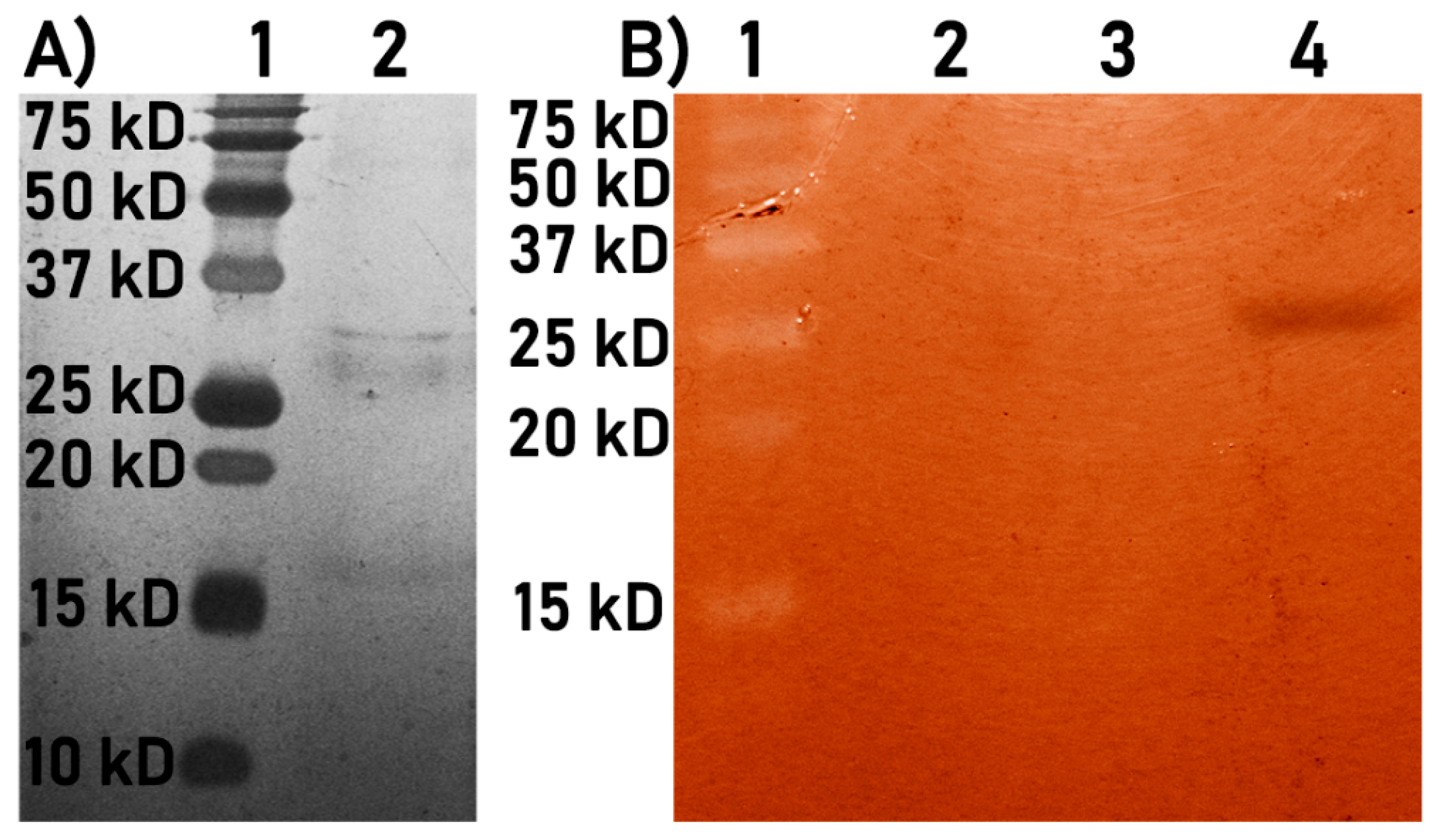 Agriculture 10 00325 g008 Agriculture 10 00325 g008