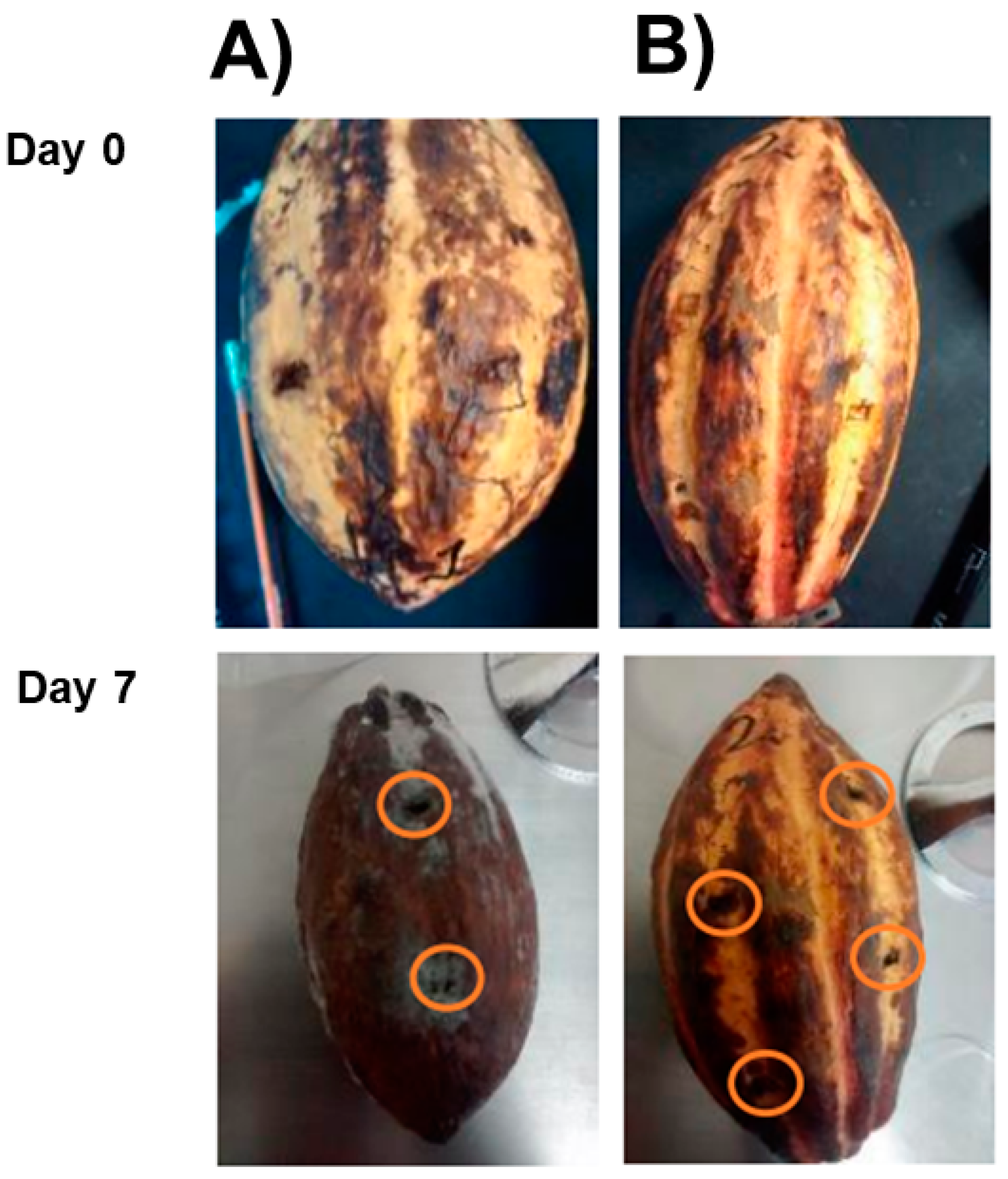 Agriculture 10 00325 g009 Agriculture 10 00325 g009