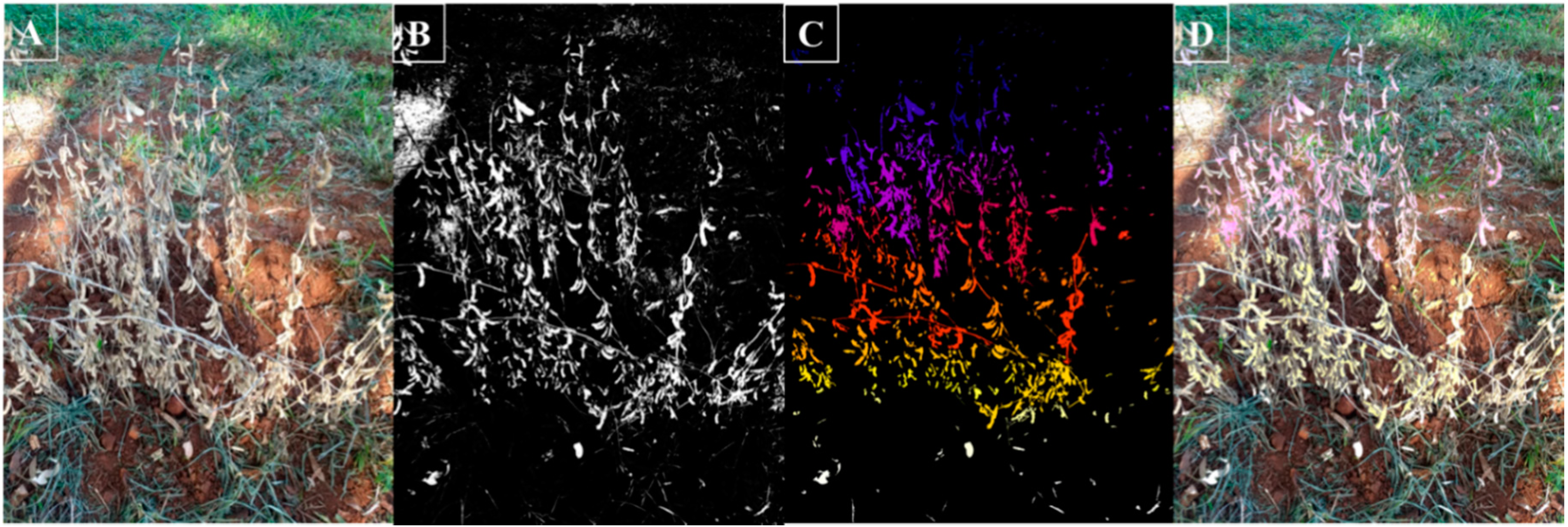 Agriculture 10 00348 g004