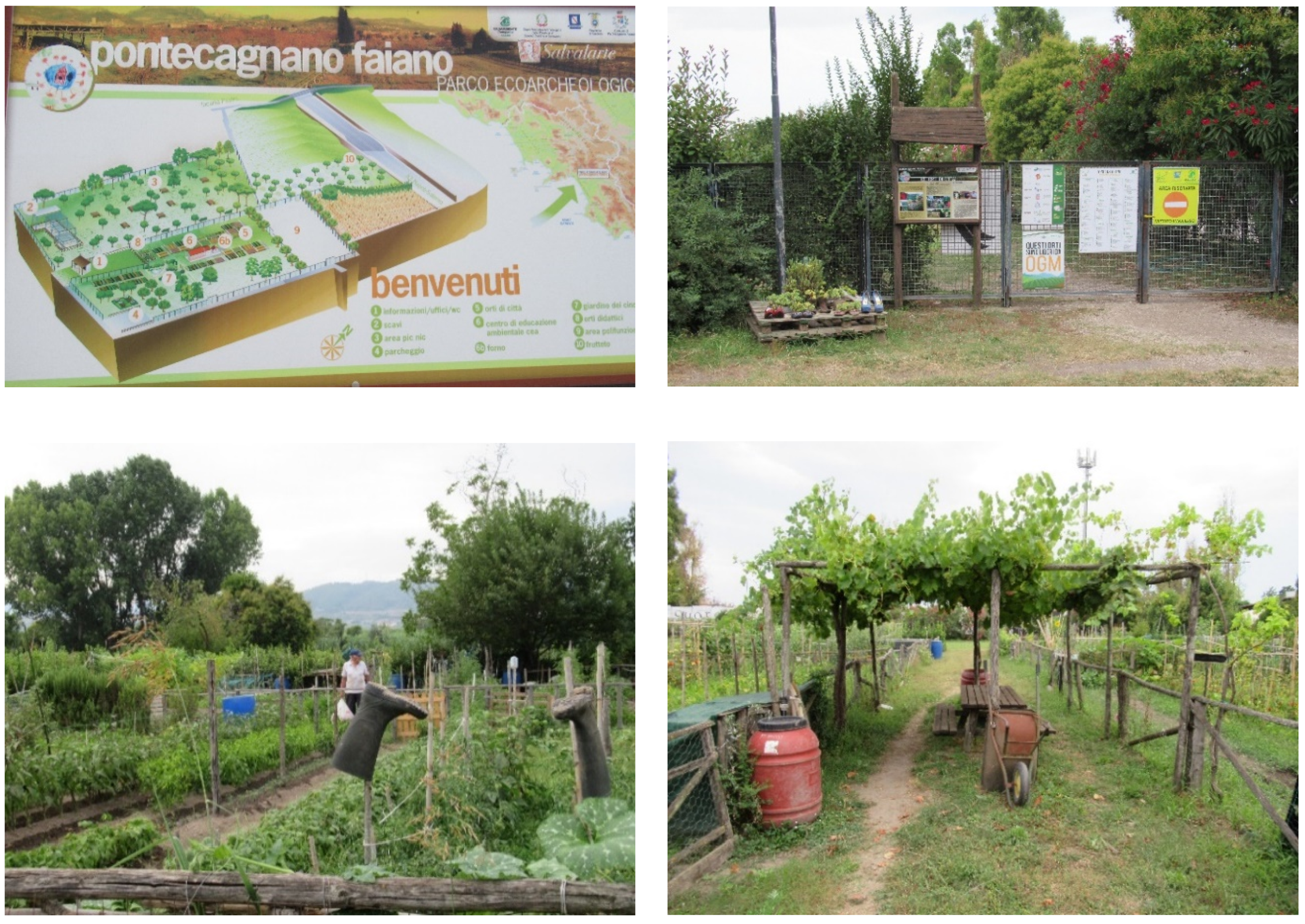 Agriculture 10 00358 g003