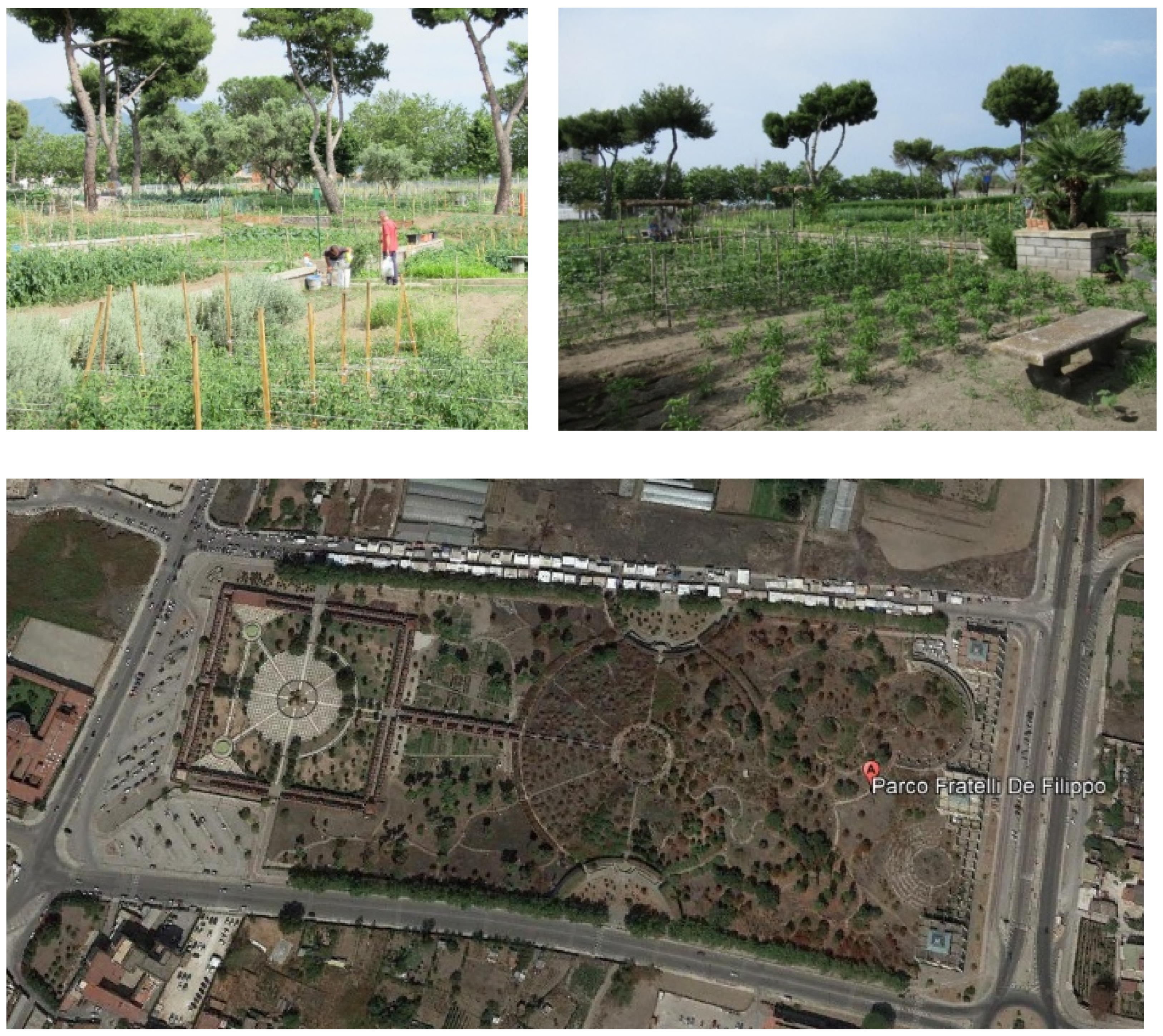 Agriculture 10 00358 g004