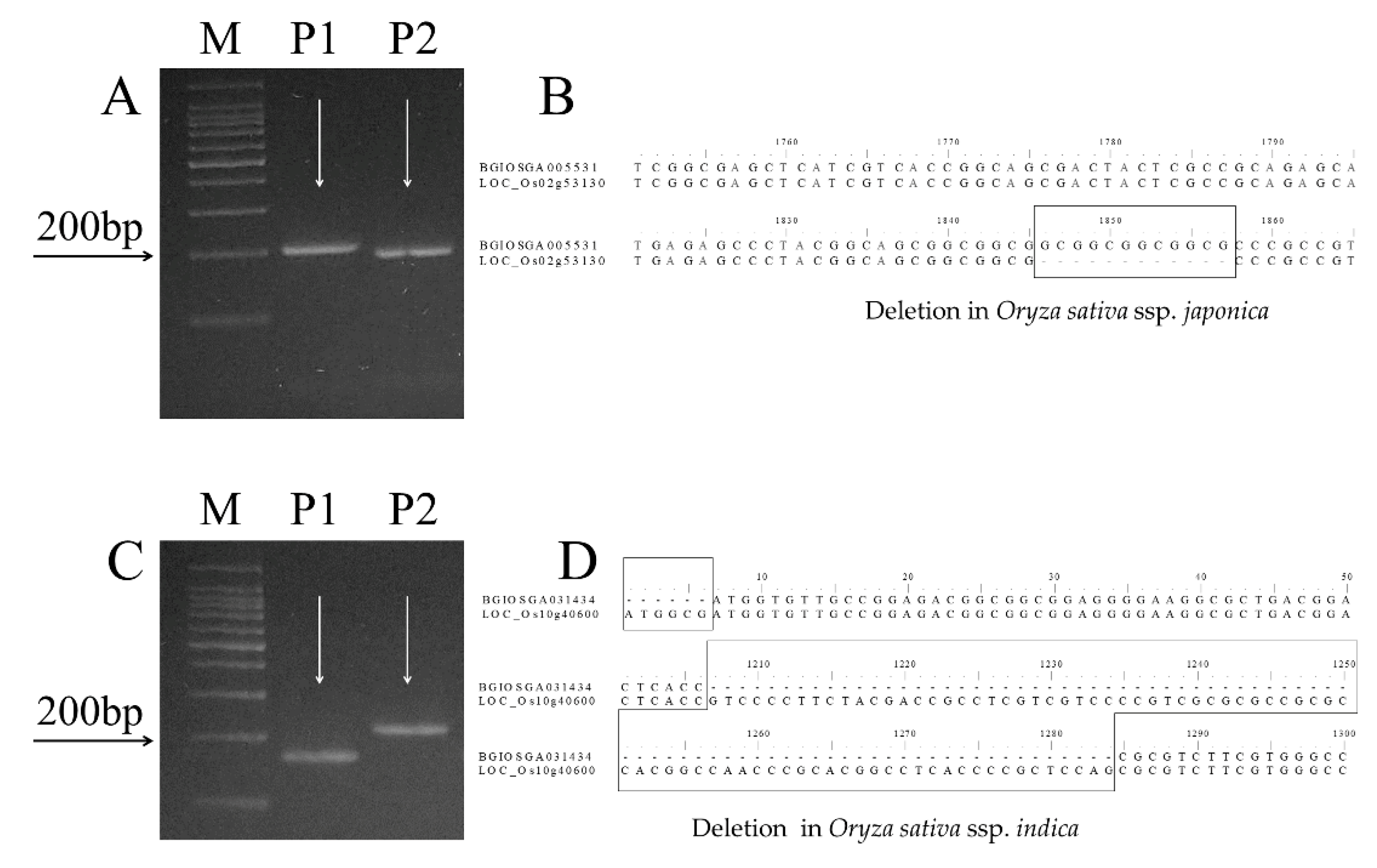 Agriculture 10 00360 g006 Agriculture 10 00360 g006
