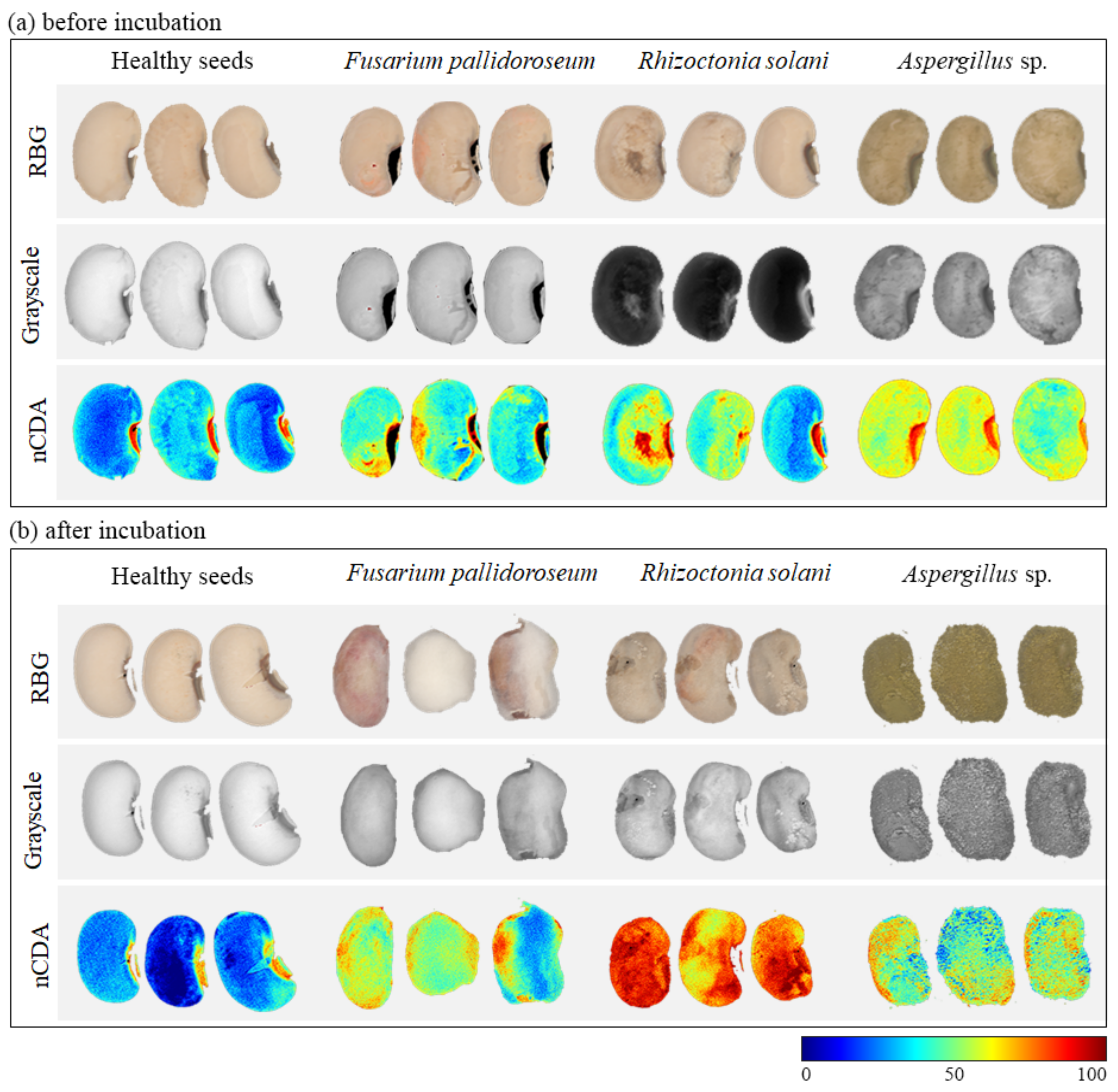 Agriculture 10 00361 g001