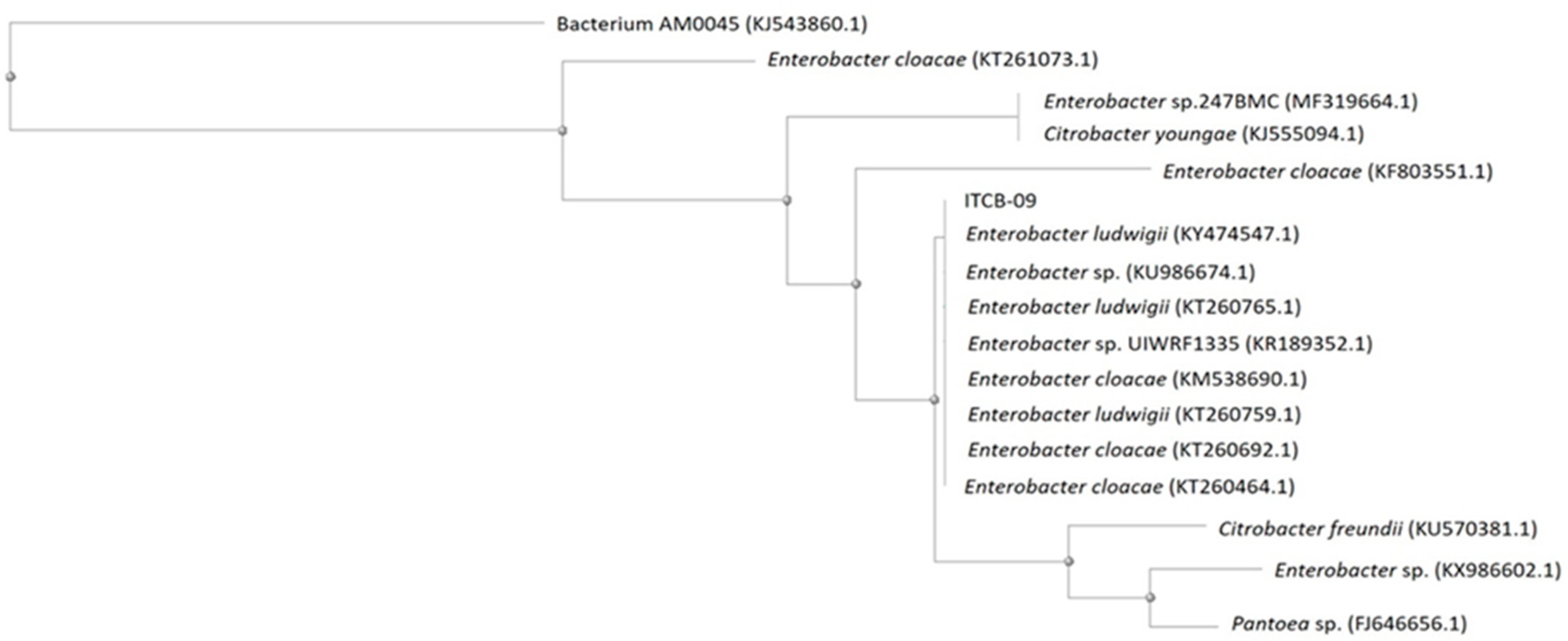 Agriculture 10 00383 g002