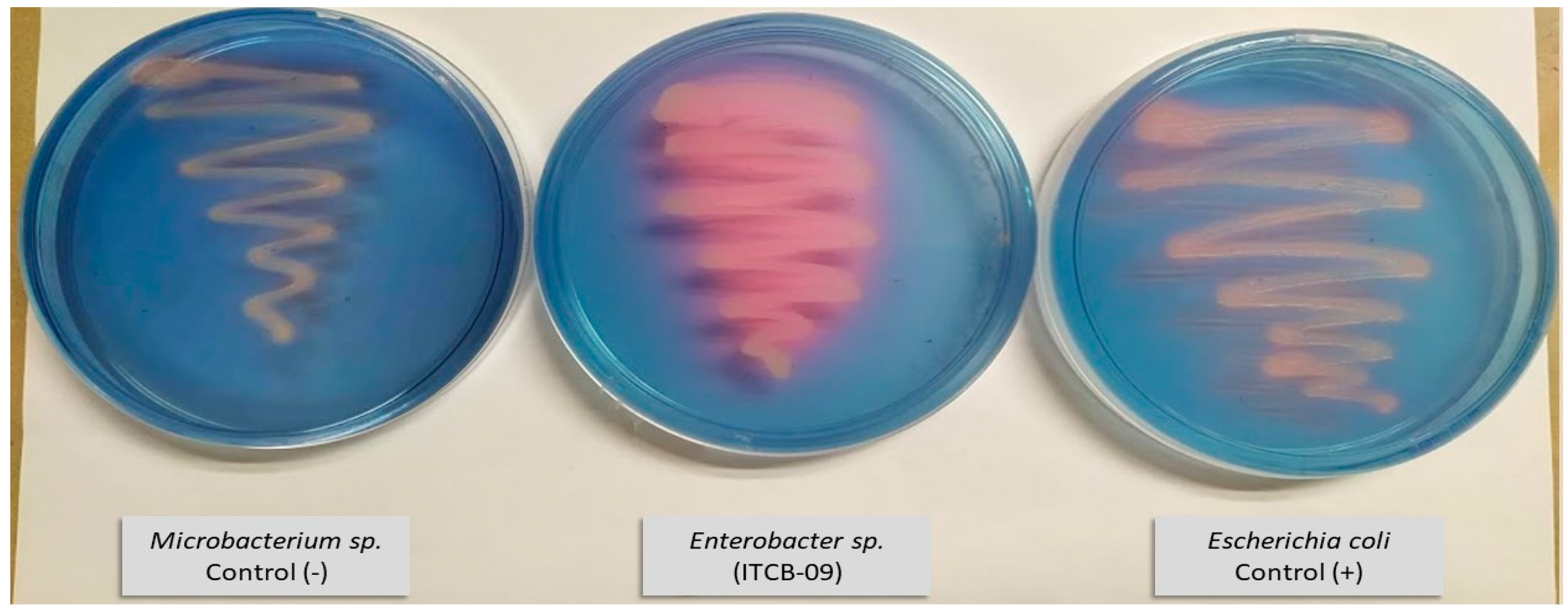 Agriculture 10 00383 g003