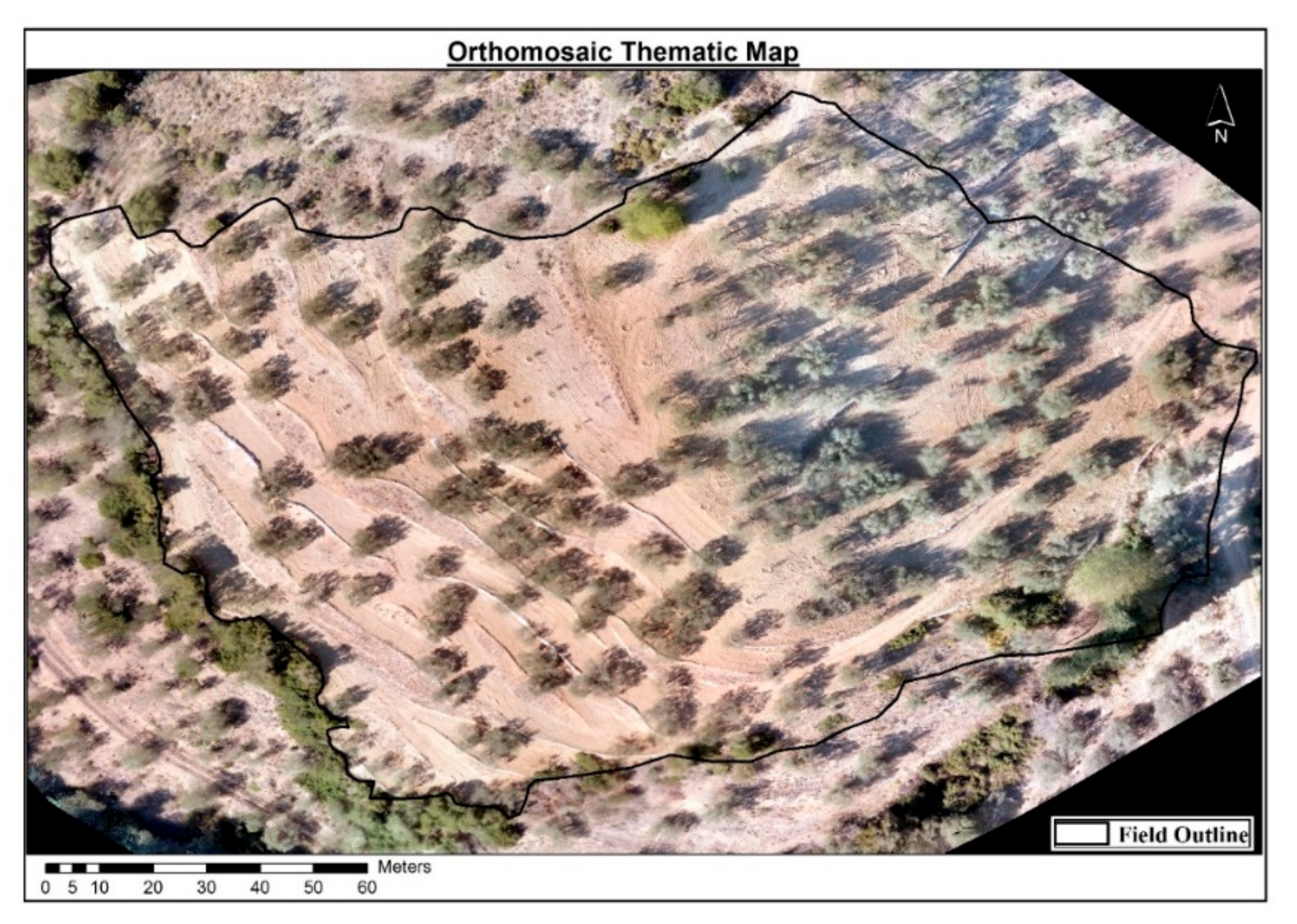 Agriculture 10 00385 g004