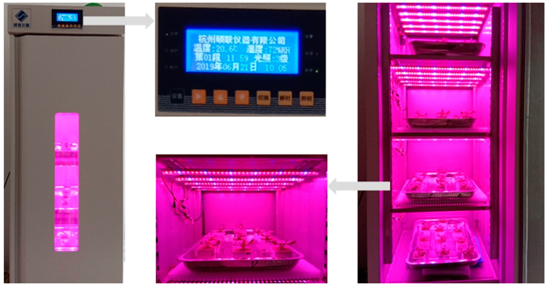 Agriculture 10 00406 g001