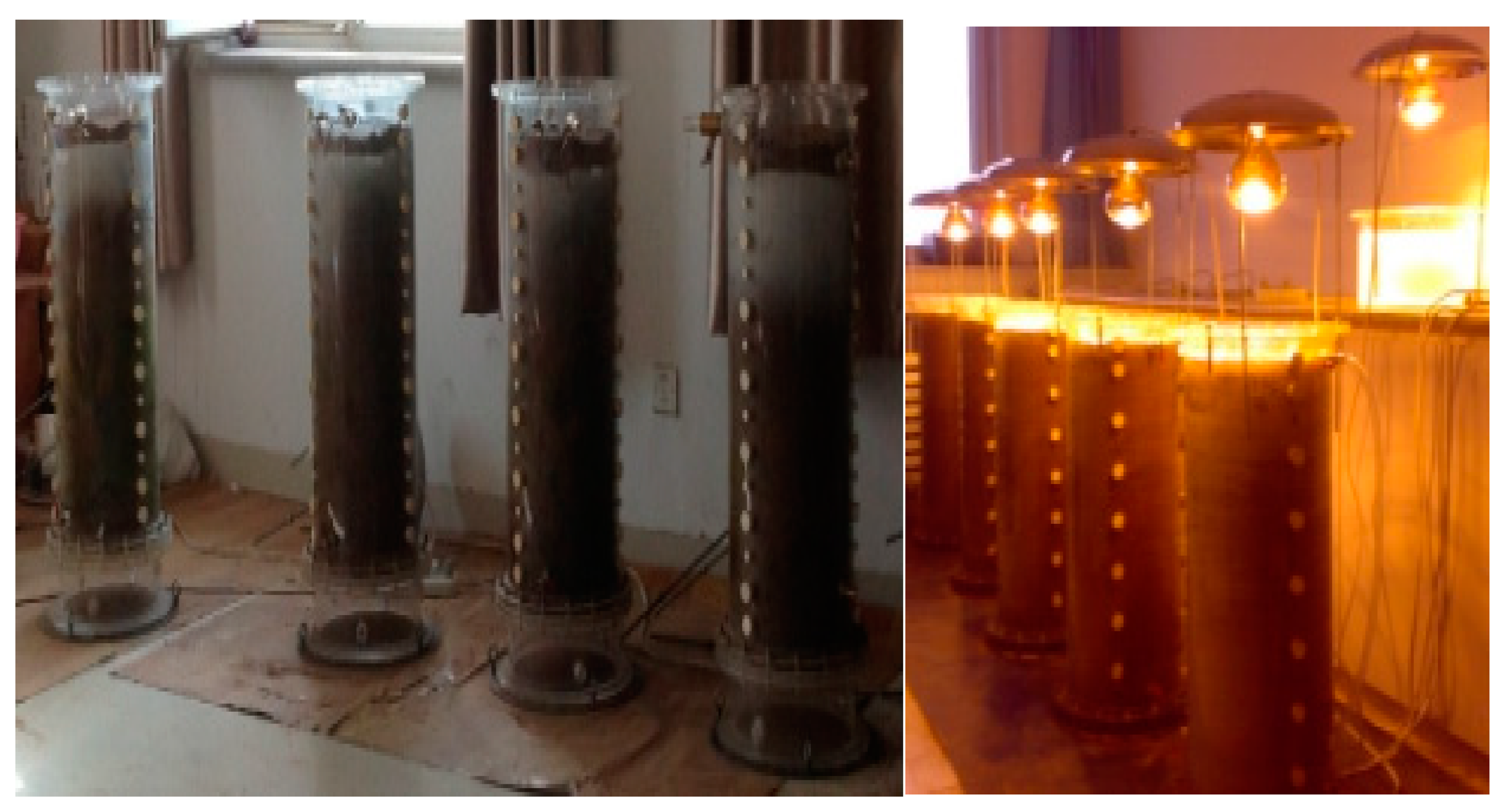 Agriculture 10 00519 g001