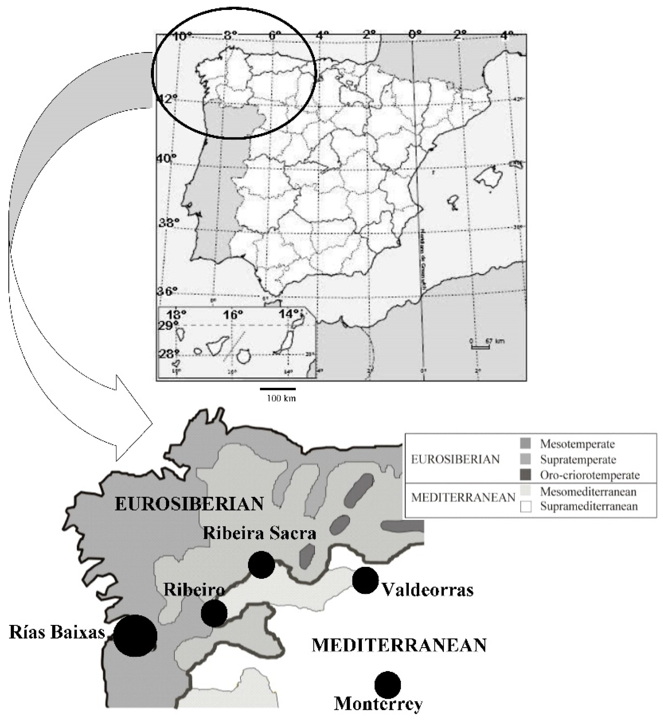 Agriculture 10 00605 g001