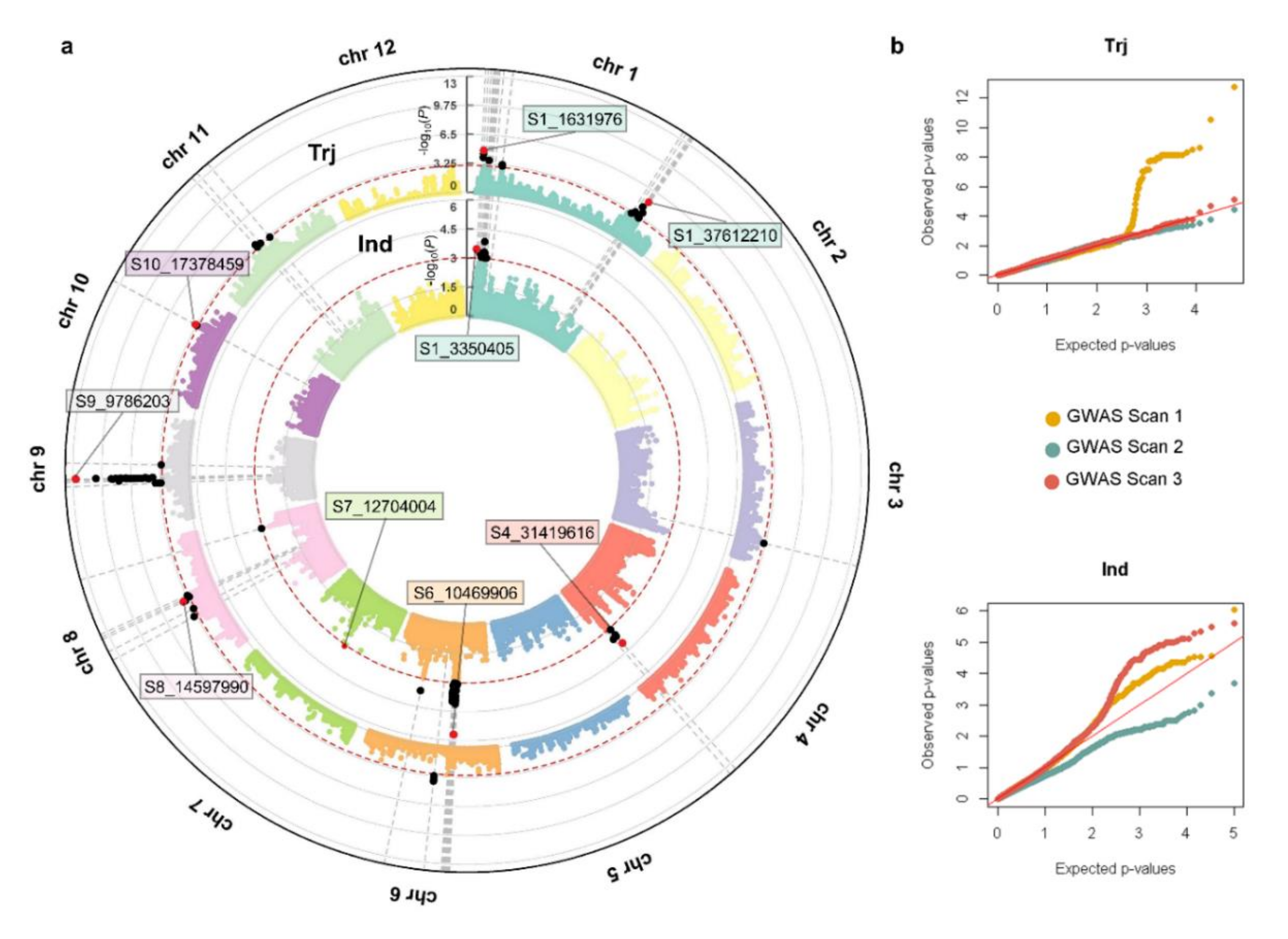 Agriculture 10 00622 g003
