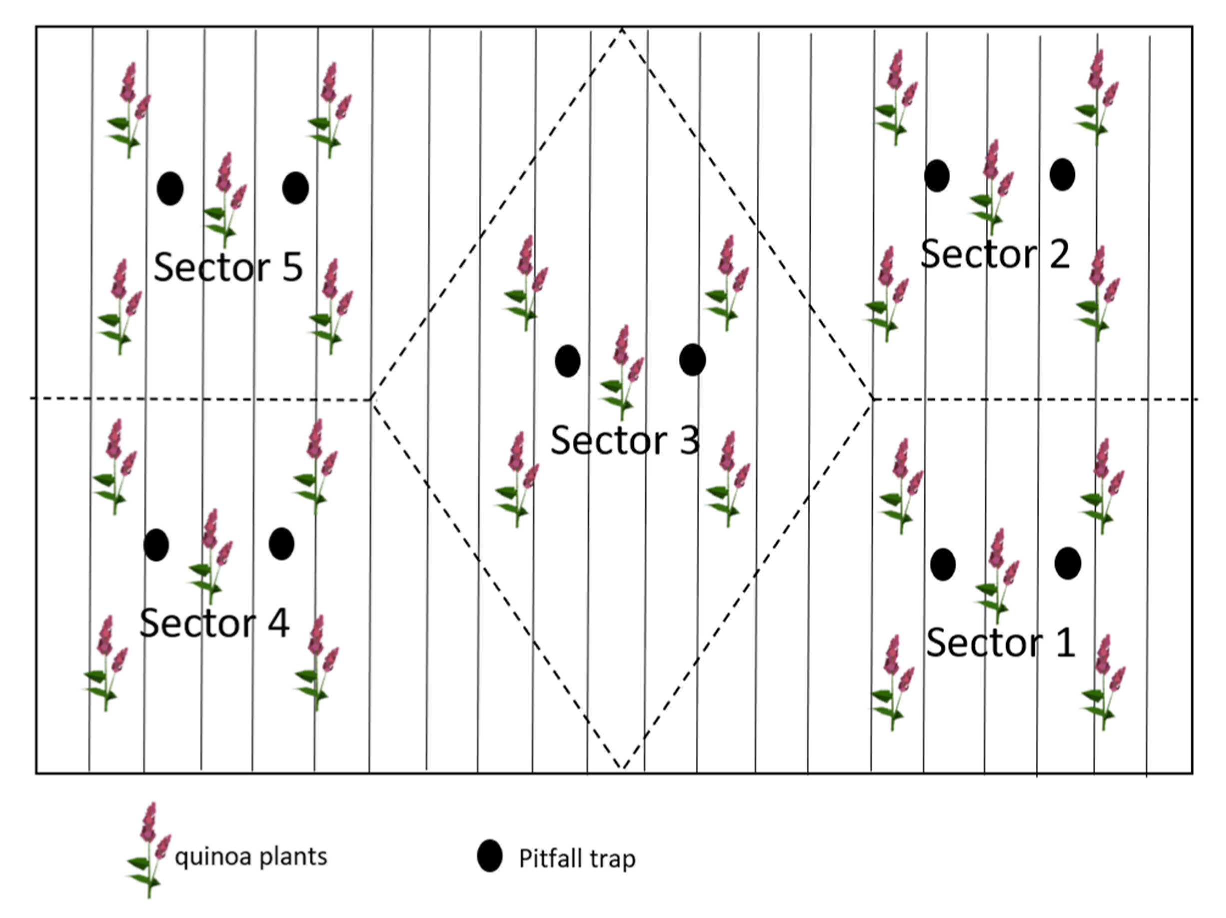 Agriculture 10 00644 g001