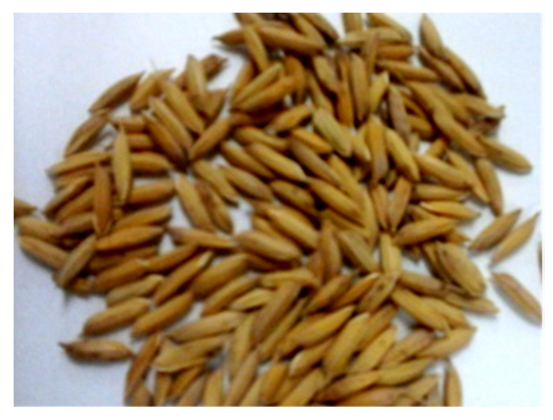 Agriculture 11 00008 g009 Agriculture 11 00008 g009