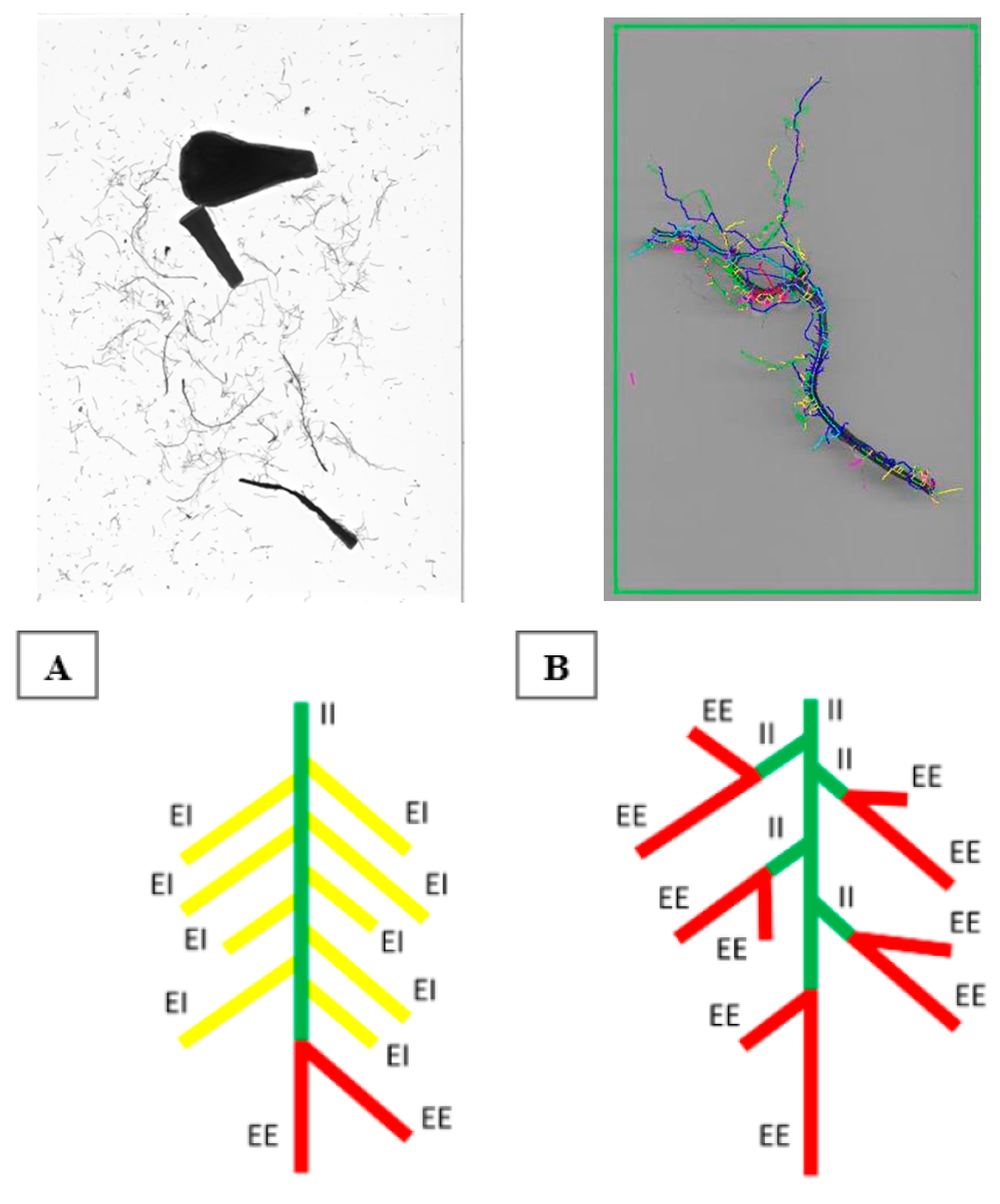 Agriculture 11 00021 g002