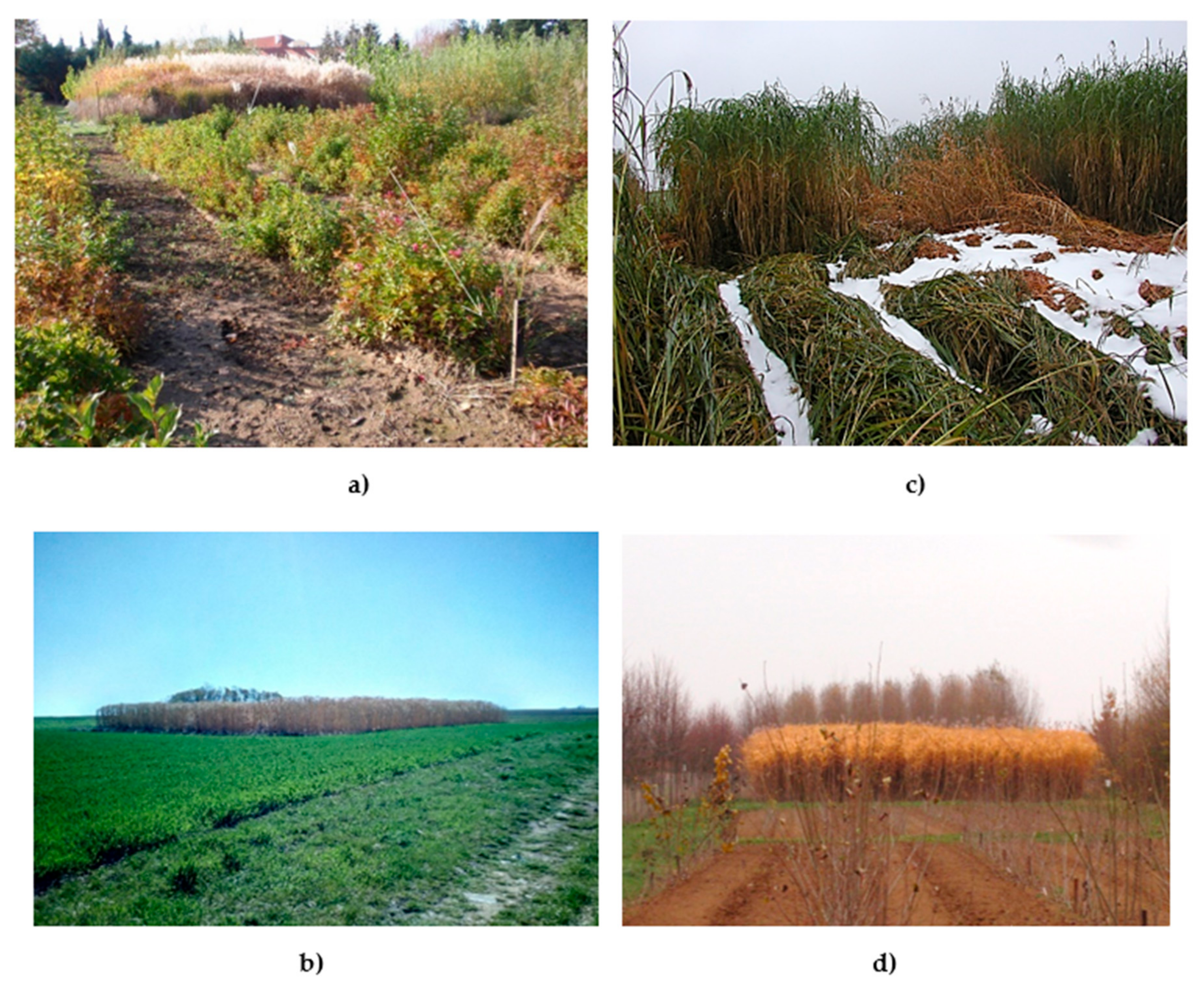 Agriculture 11 00040 g002