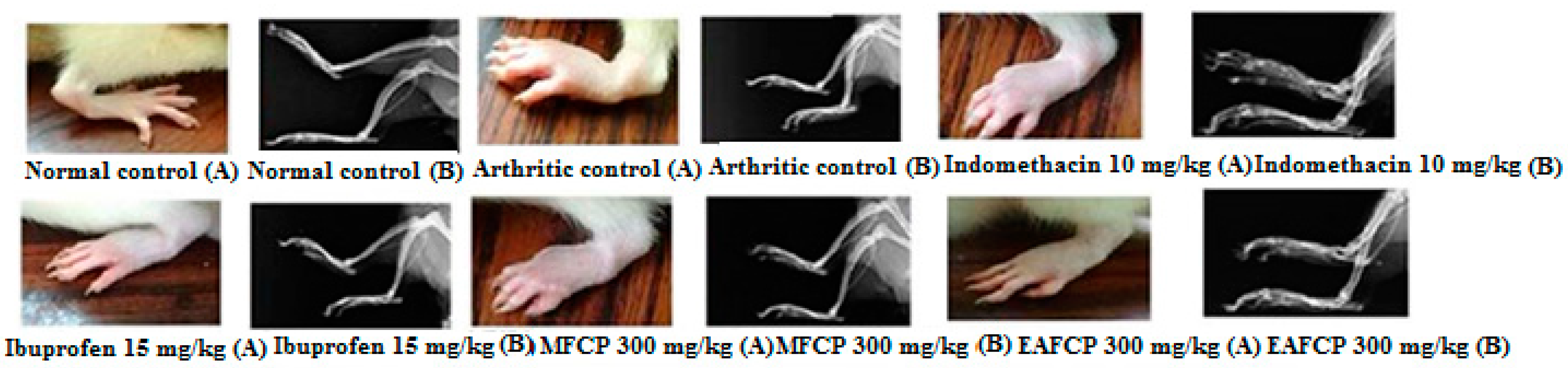 Agriculture 11 00068 g005