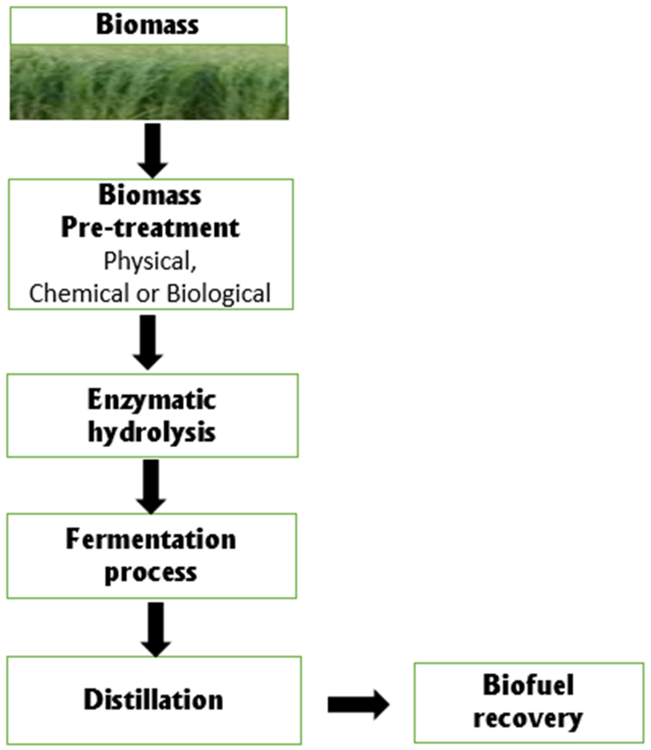 Agriculture 11 00075 g001