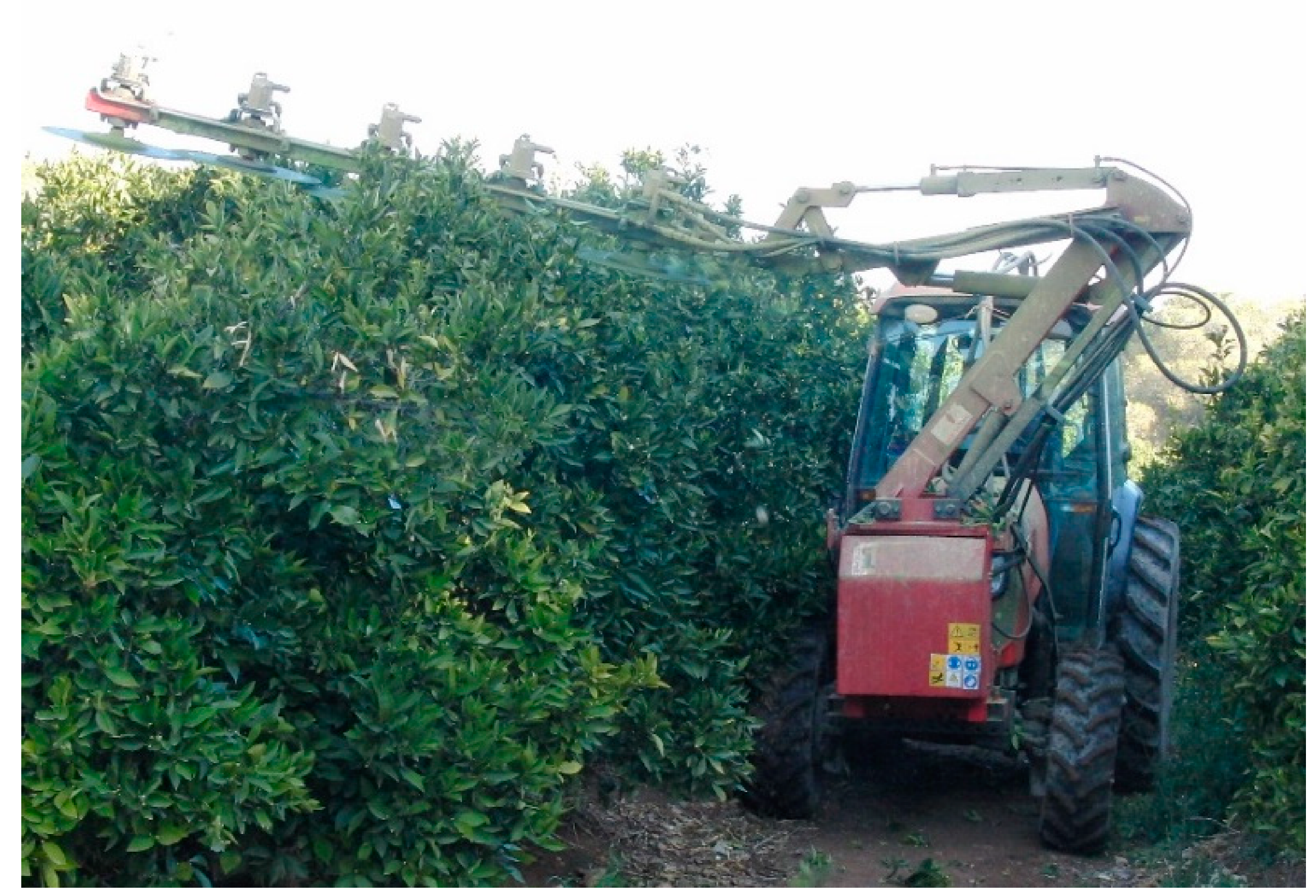 Agriculture 11 00082 g001