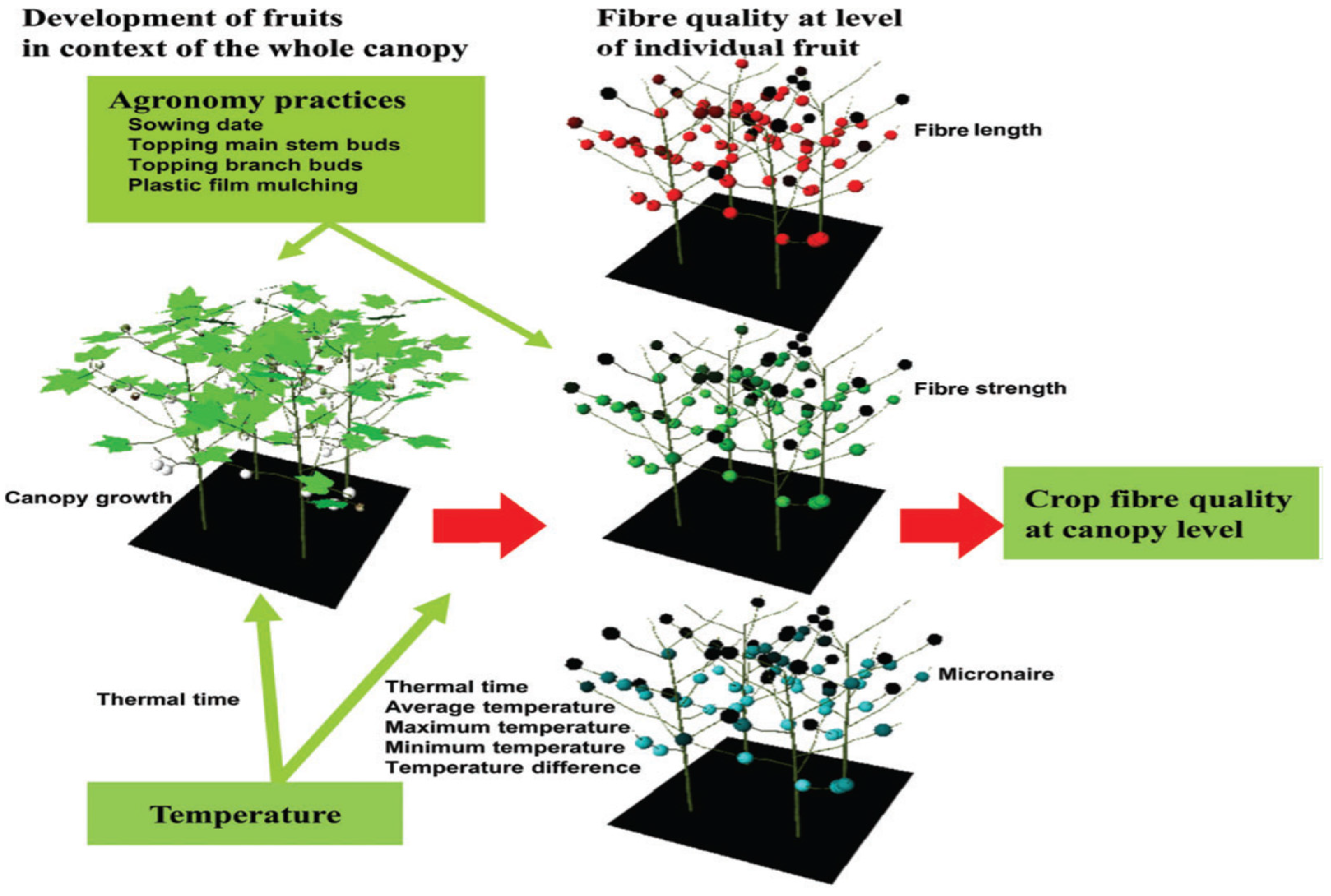 Agriculture 11 00097 g010