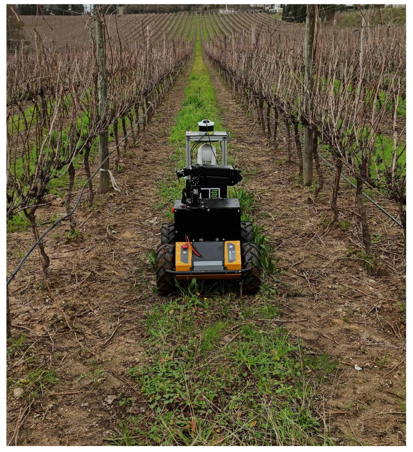 Agriculture 11 00131 g004 Agriculture 11 00131 g004