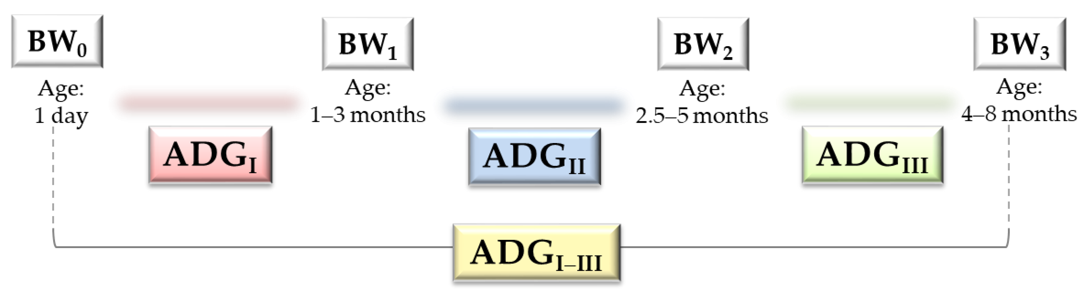 Agriculture 11 00159 g001