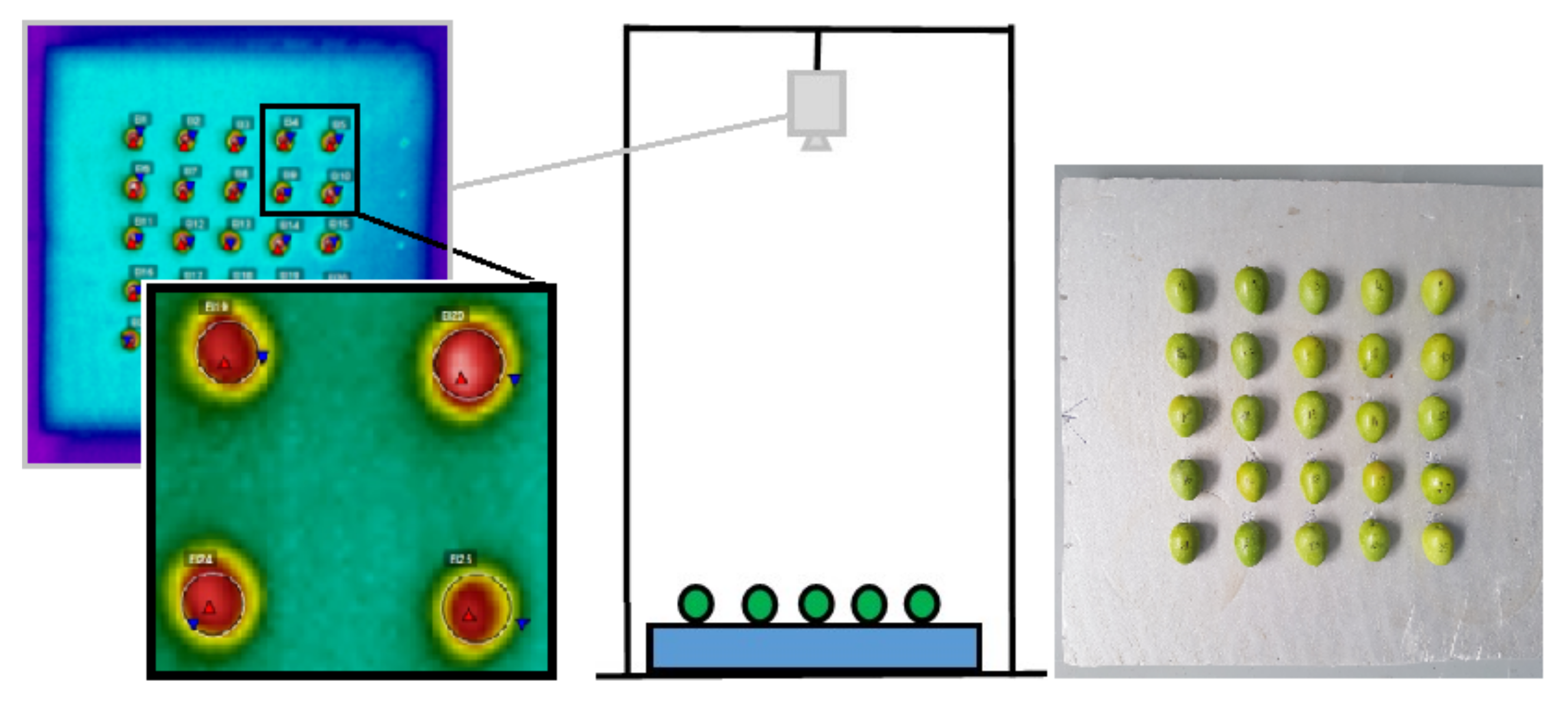 Agriculture 11 00164 g001 Agriculture 11 00164 g001