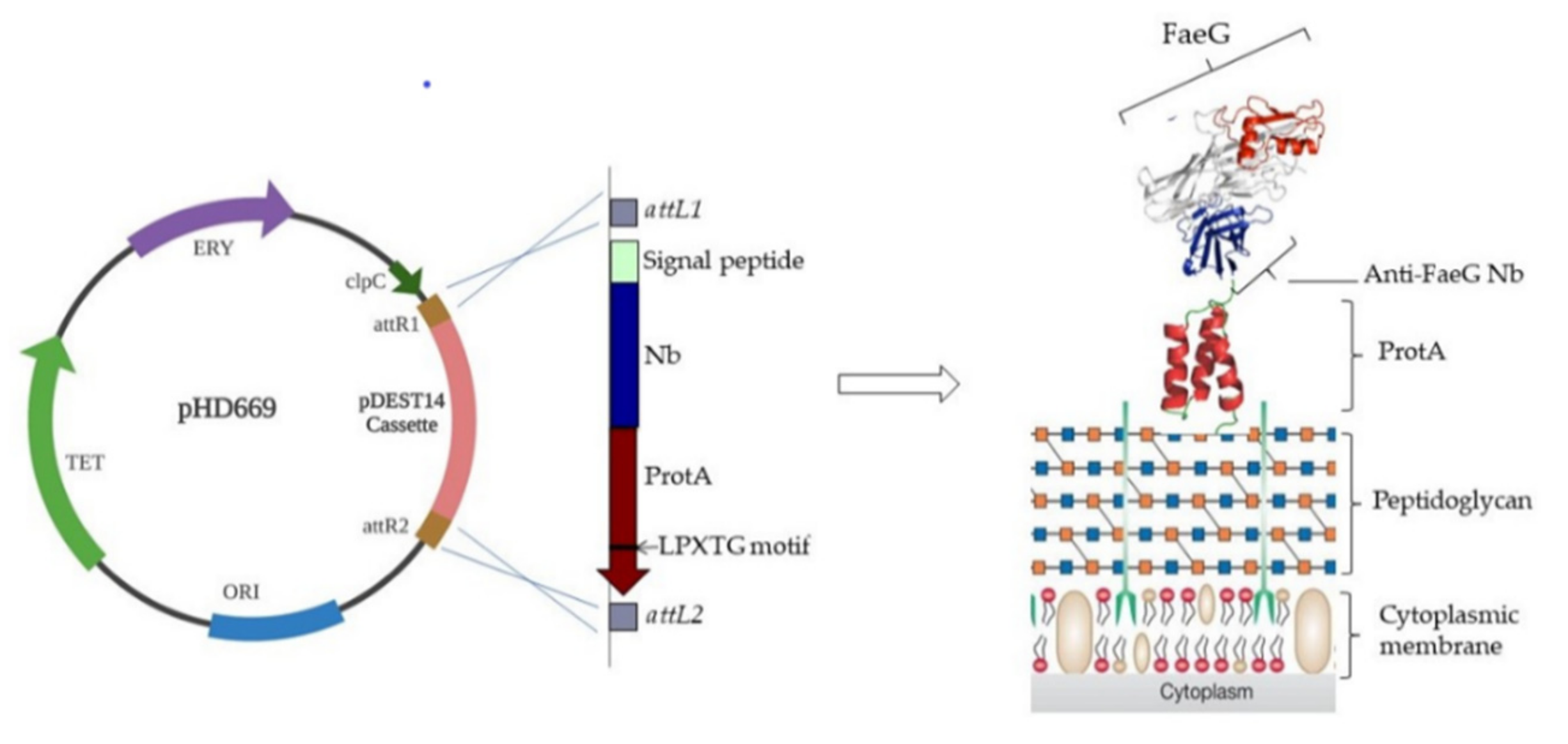 Agriculture 11 00186 g002
