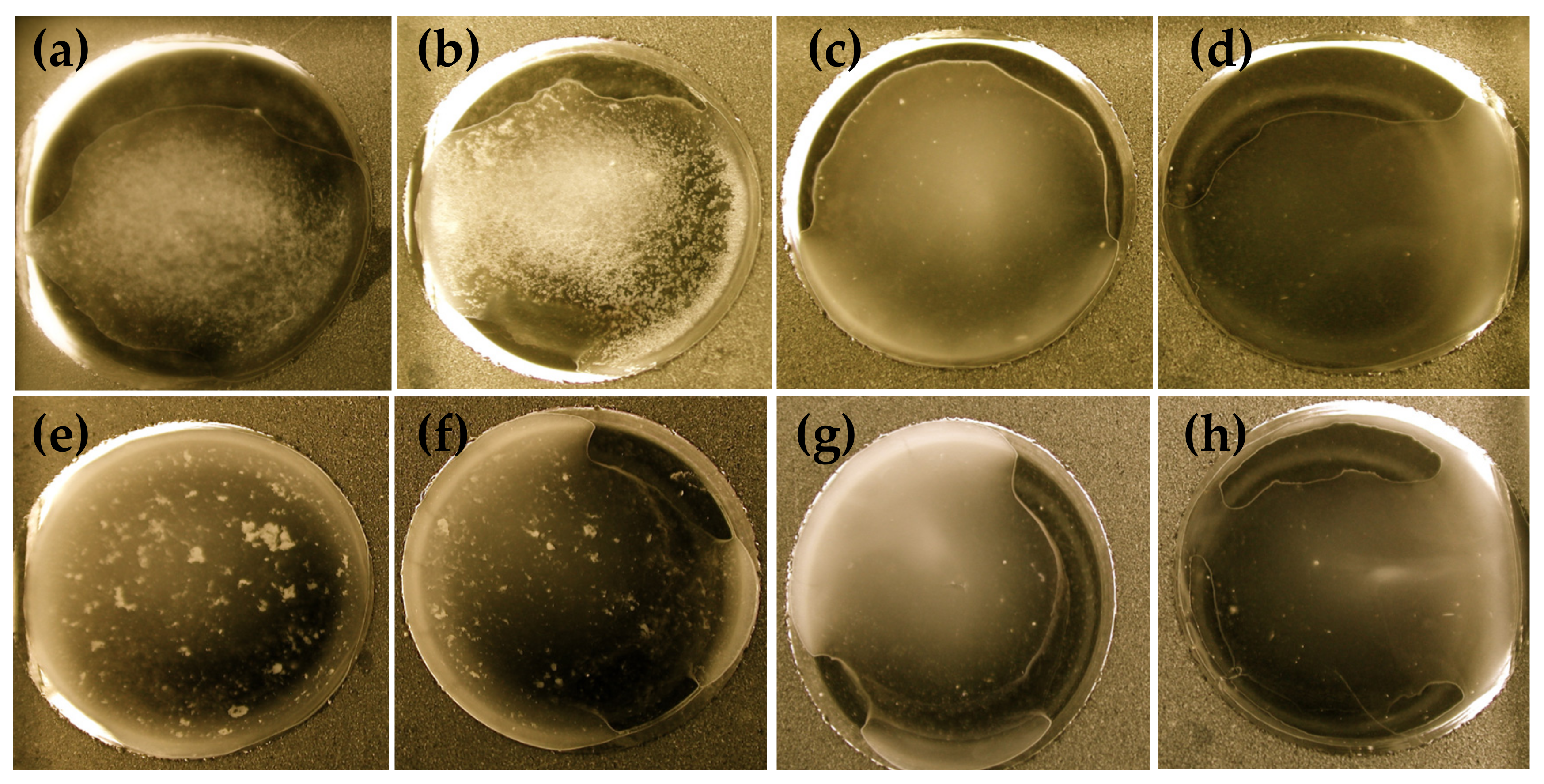 Agriculture 11 00186 g003