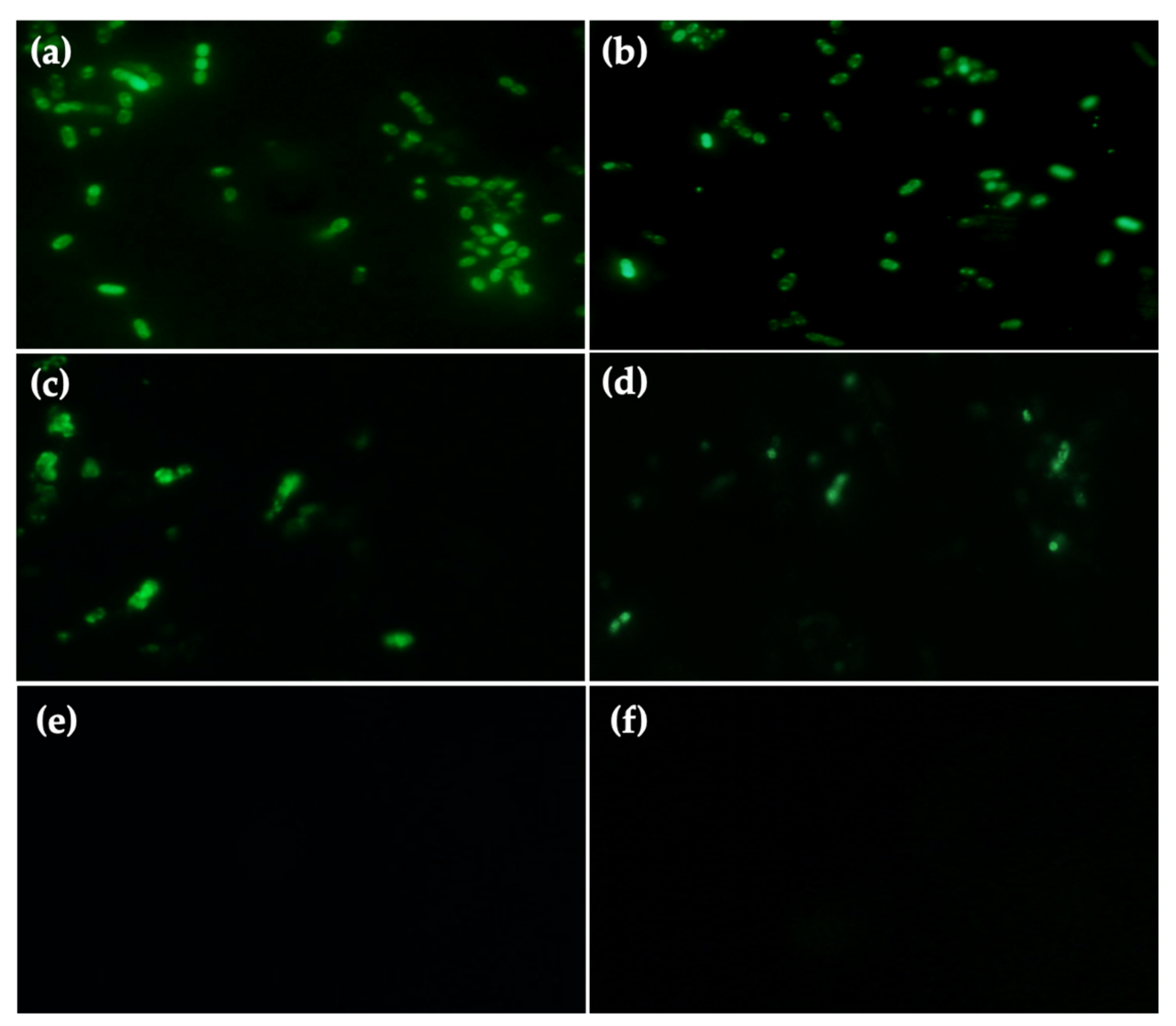 Agriculture 11 00186 g004