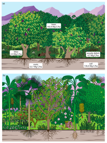 Agriculture 11 00189 g002