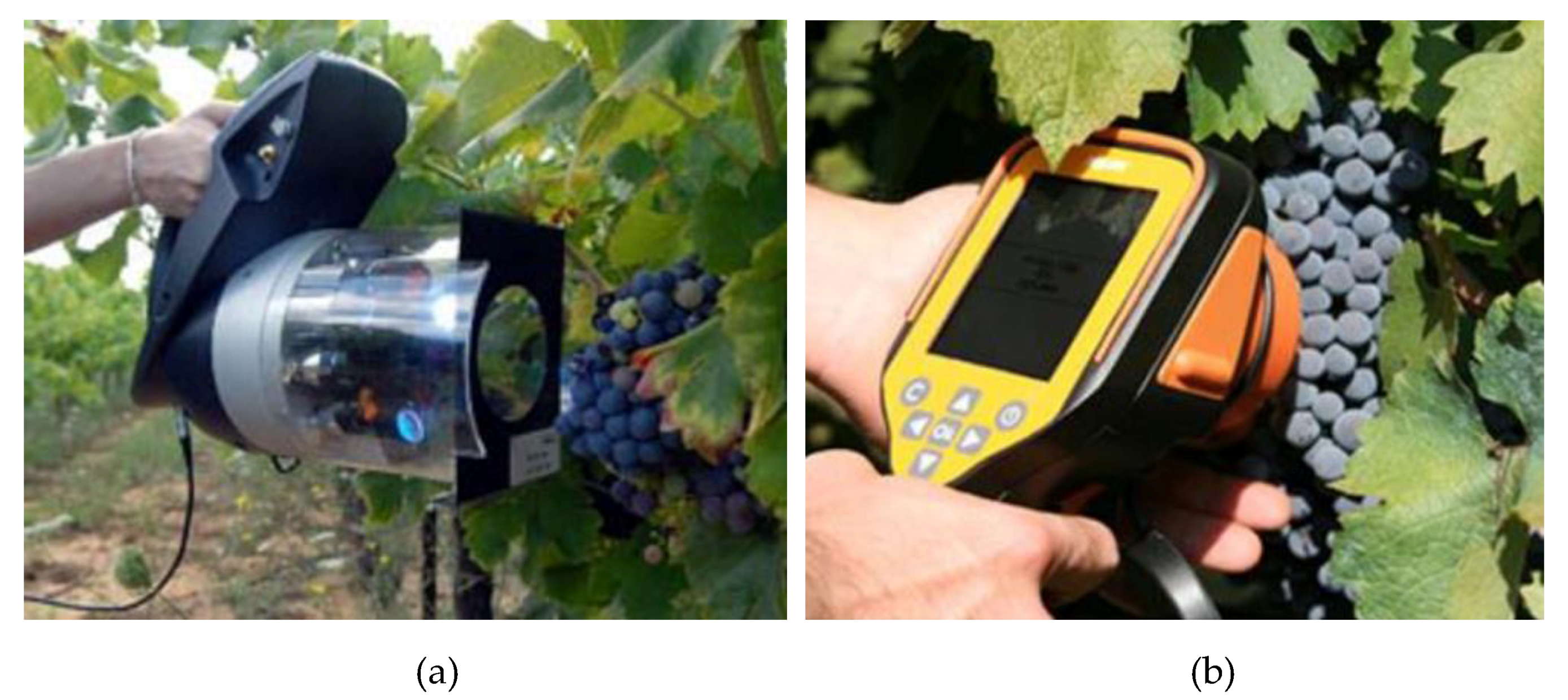 Agriculture 11 00201 g008