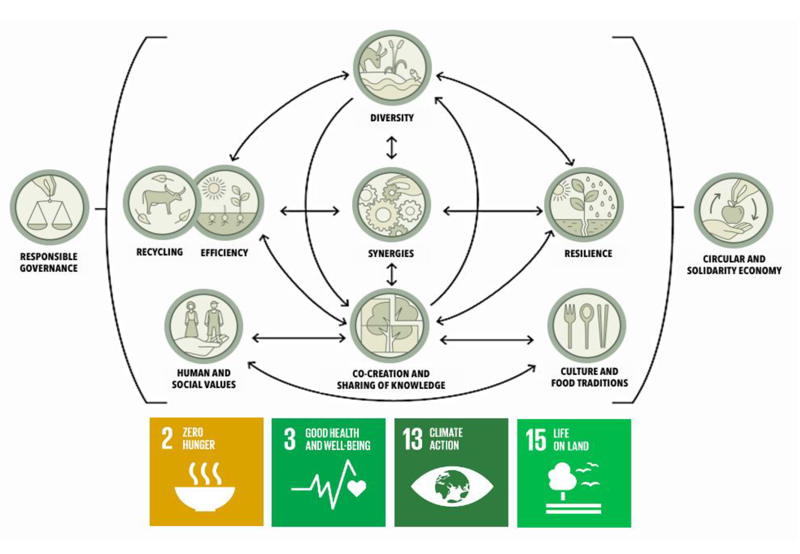 Agriculture 11 00204 g001
