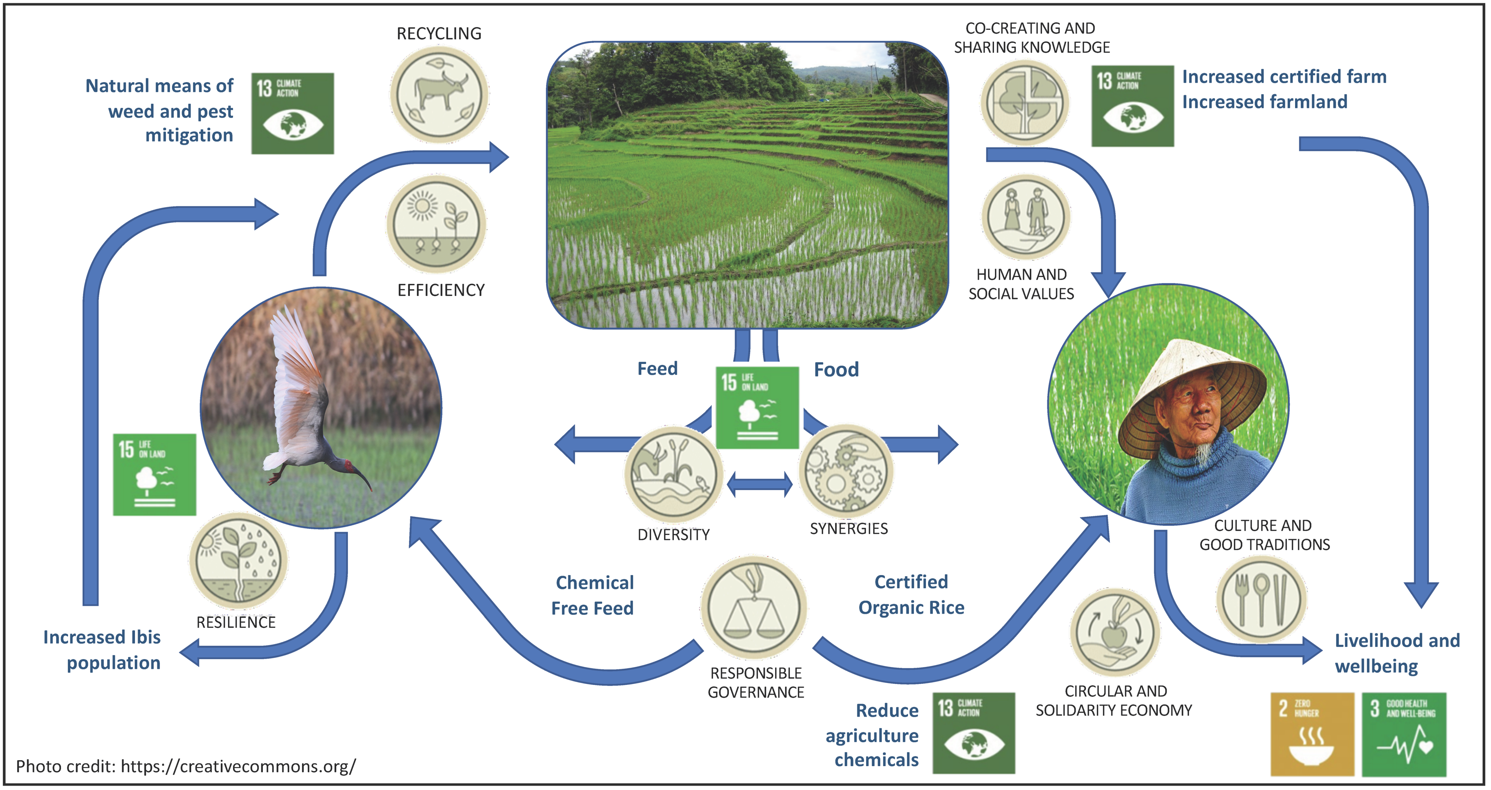 Agriculture 11 00204 g002